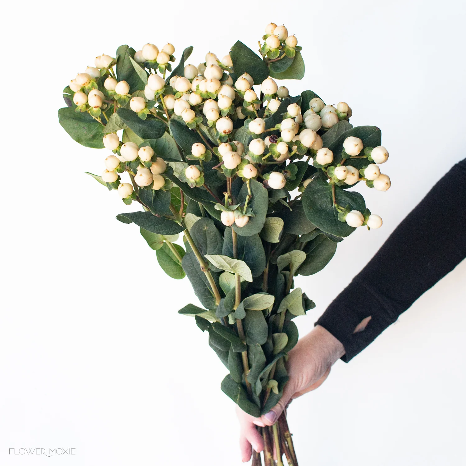 Cream Hypericum Berries - Image 4