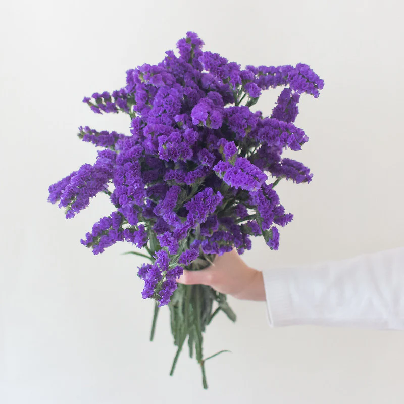 Purple Statice Flower - Image 3