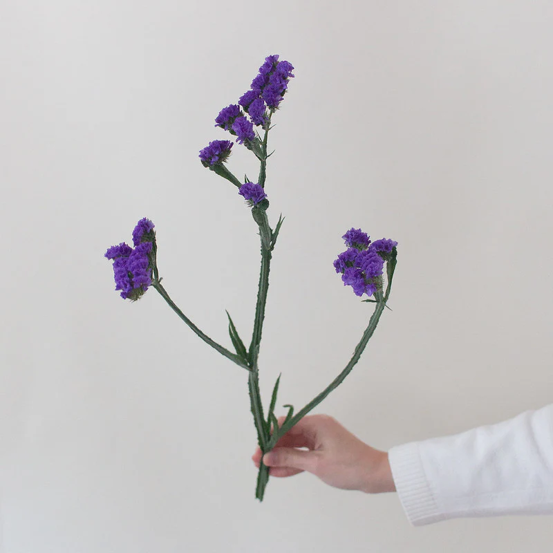 Purple Statice Flower - Image 4