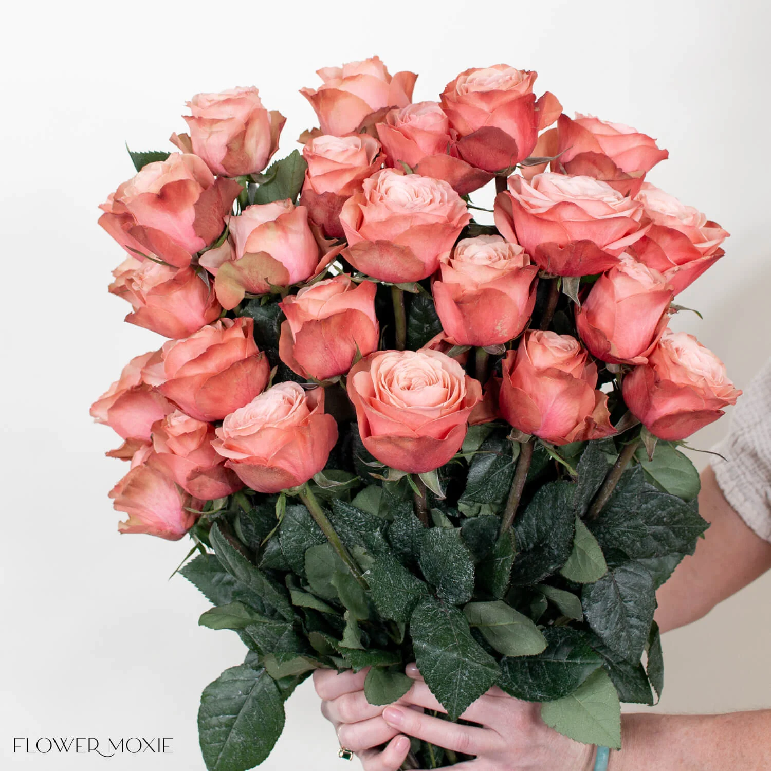 Peach Kahala Rose - Image 3