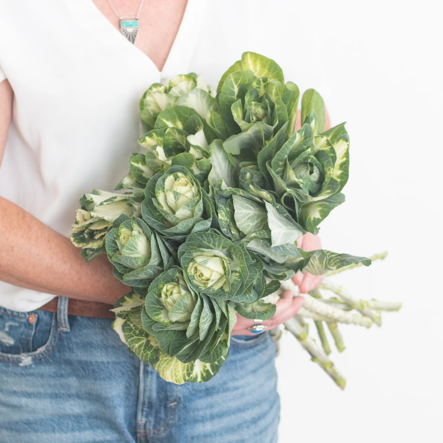 Green and White Kale Flower