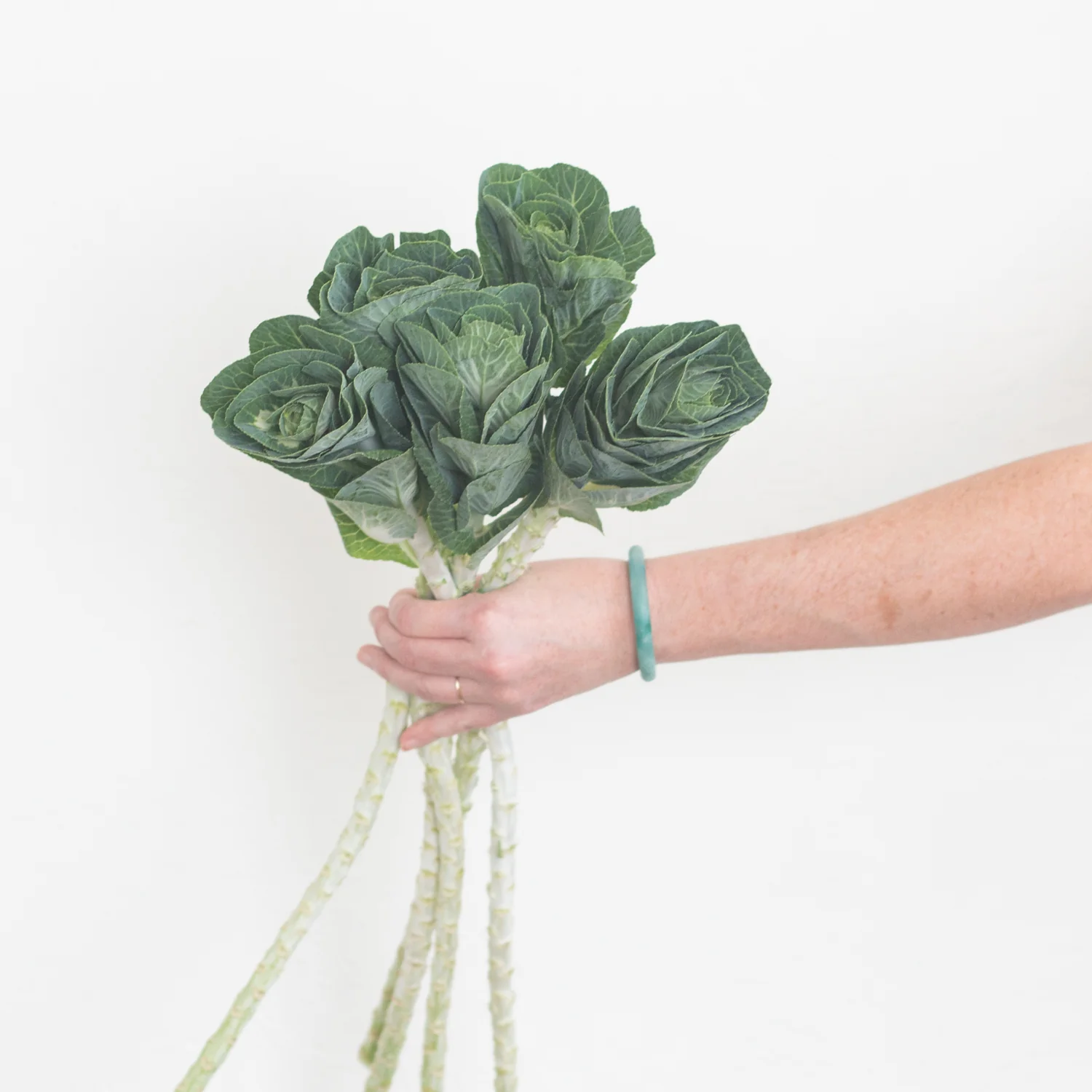 Green and White Kale Flower - Image 4