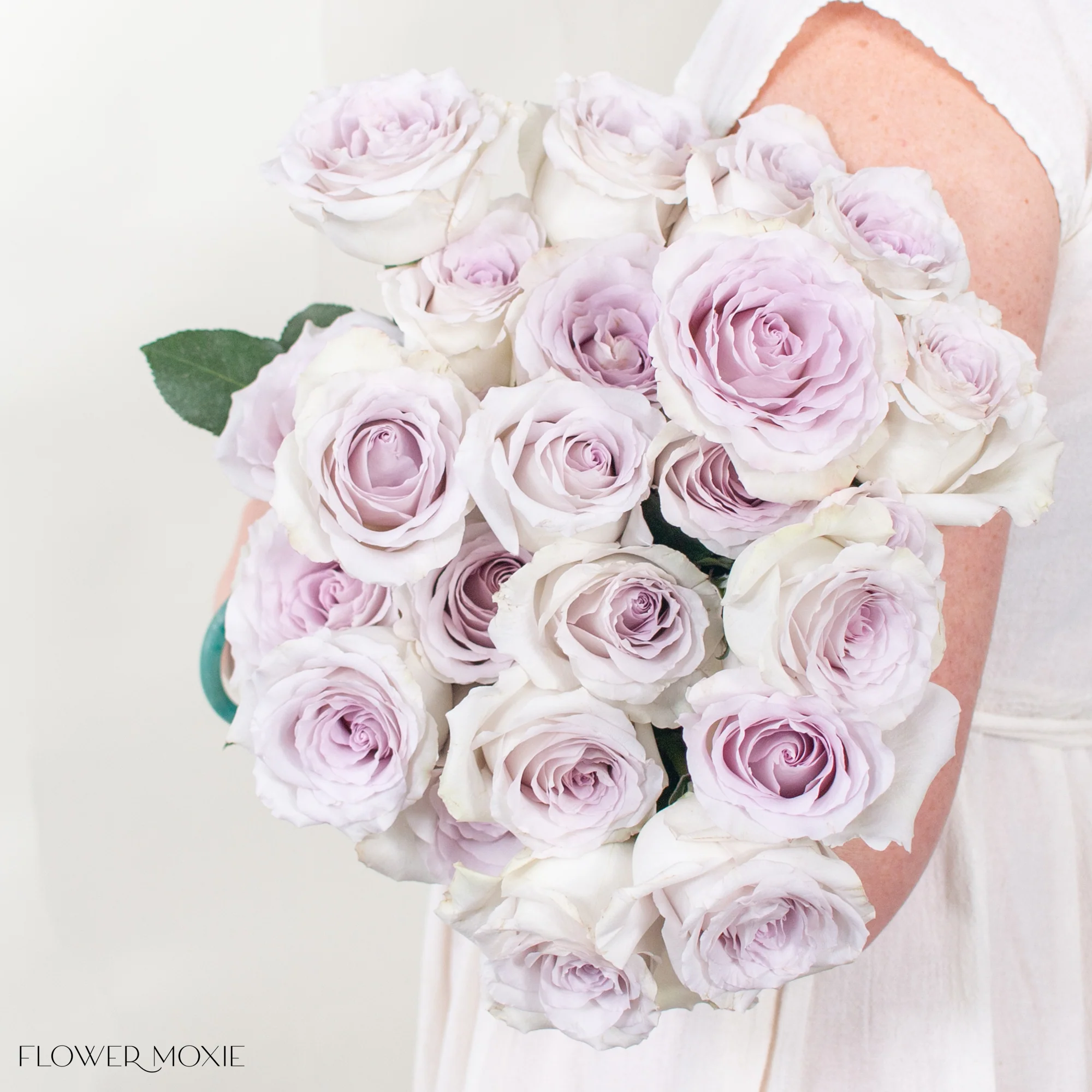 Soft Lavender Andrea Rose