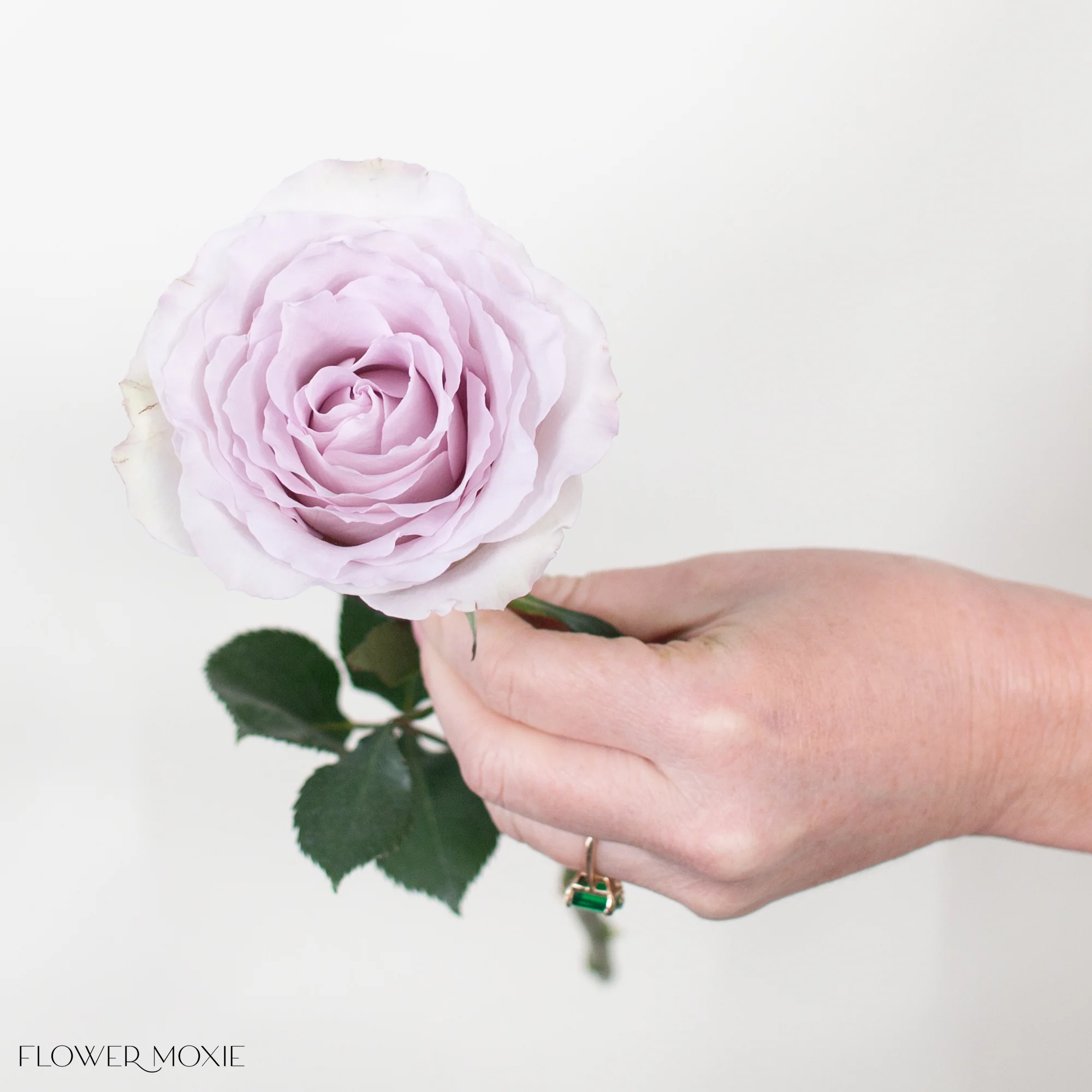 Soft Lavender Andrea Rose - Image 4