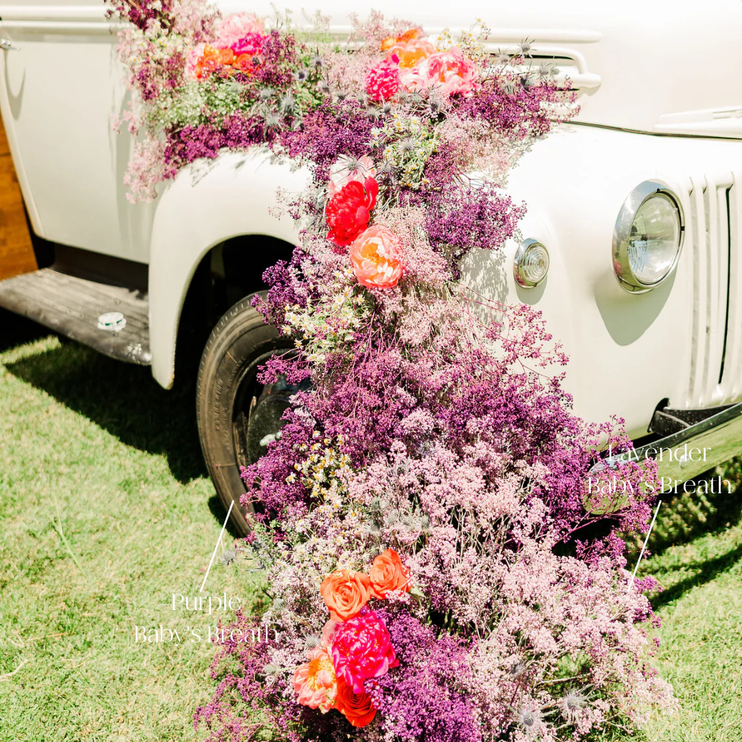 Tinted Lavender Baby's Breath Flower - Image 3