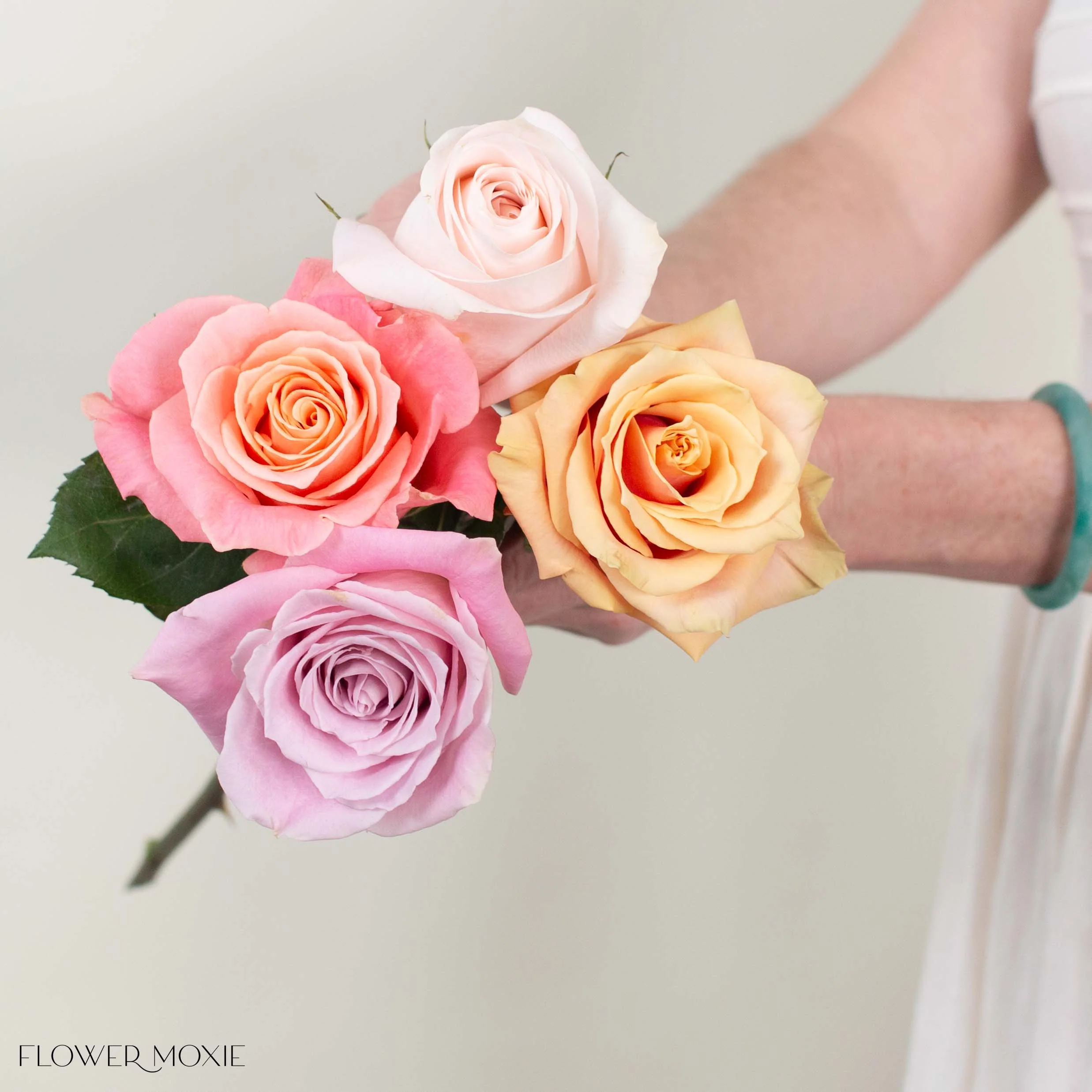 Lavender Blush Rose Mix - Image 4