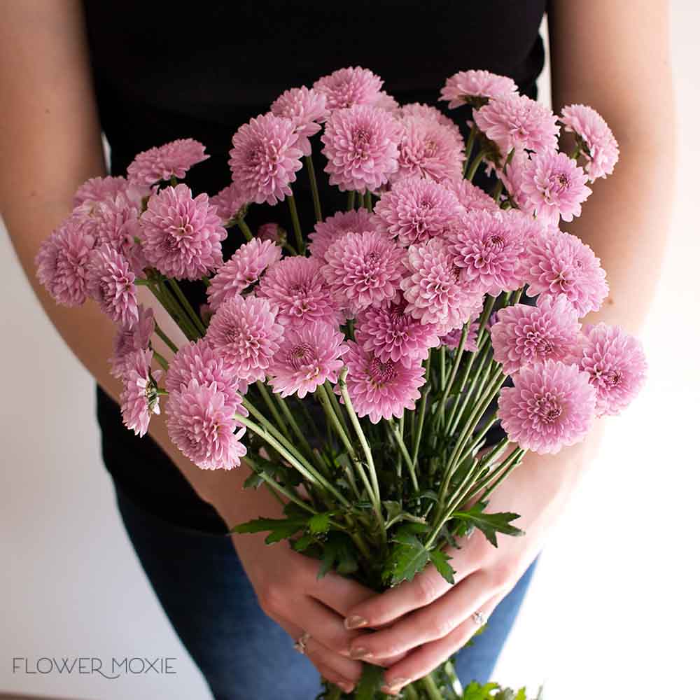 Lavender Button Pom Flower - Image 3