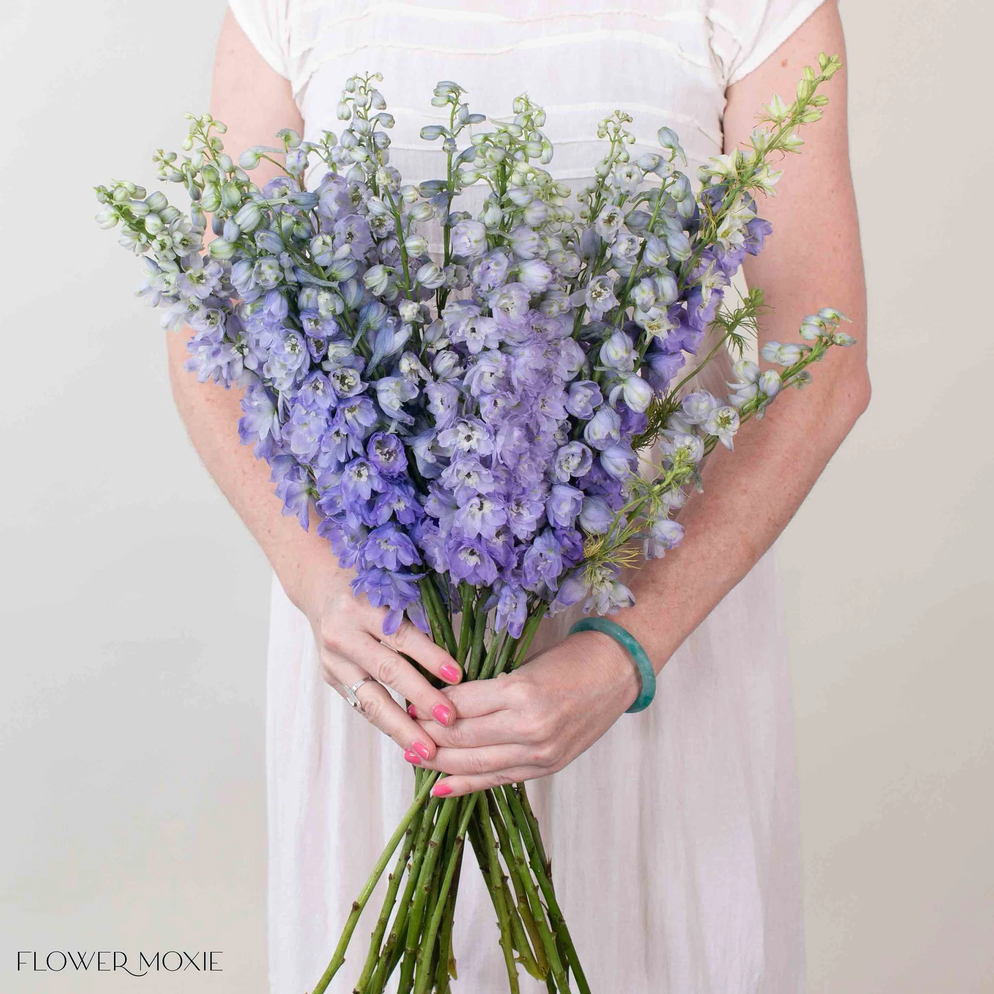 Lavender Delphinium Flower