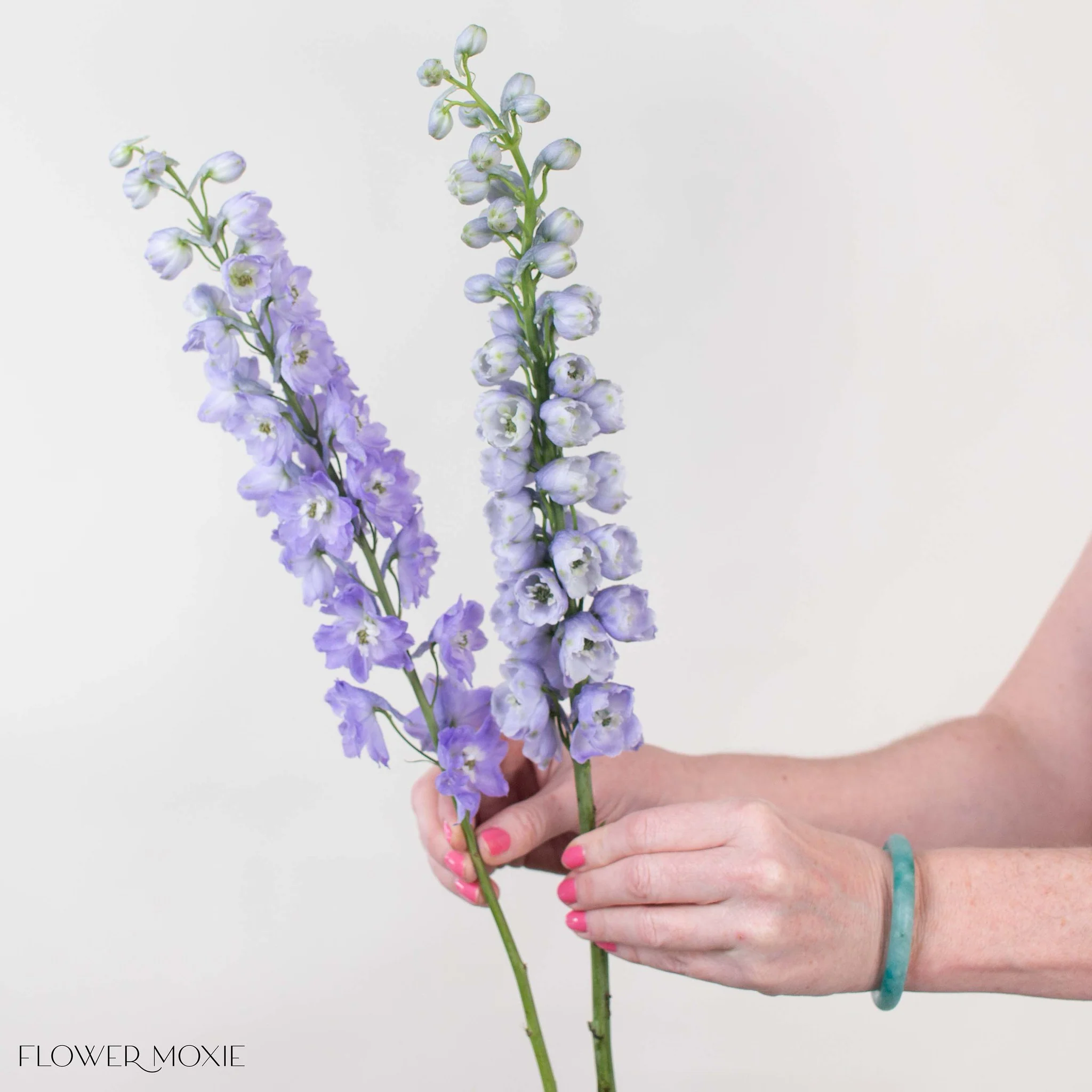 Lavender Delphinium Flower - Image 4