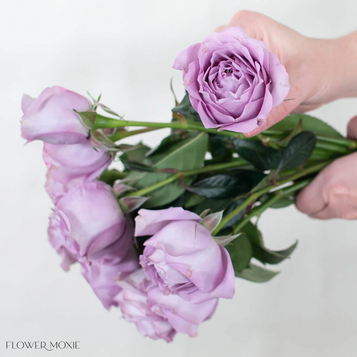 Lavender Bouquet Garden Rose - Image 3