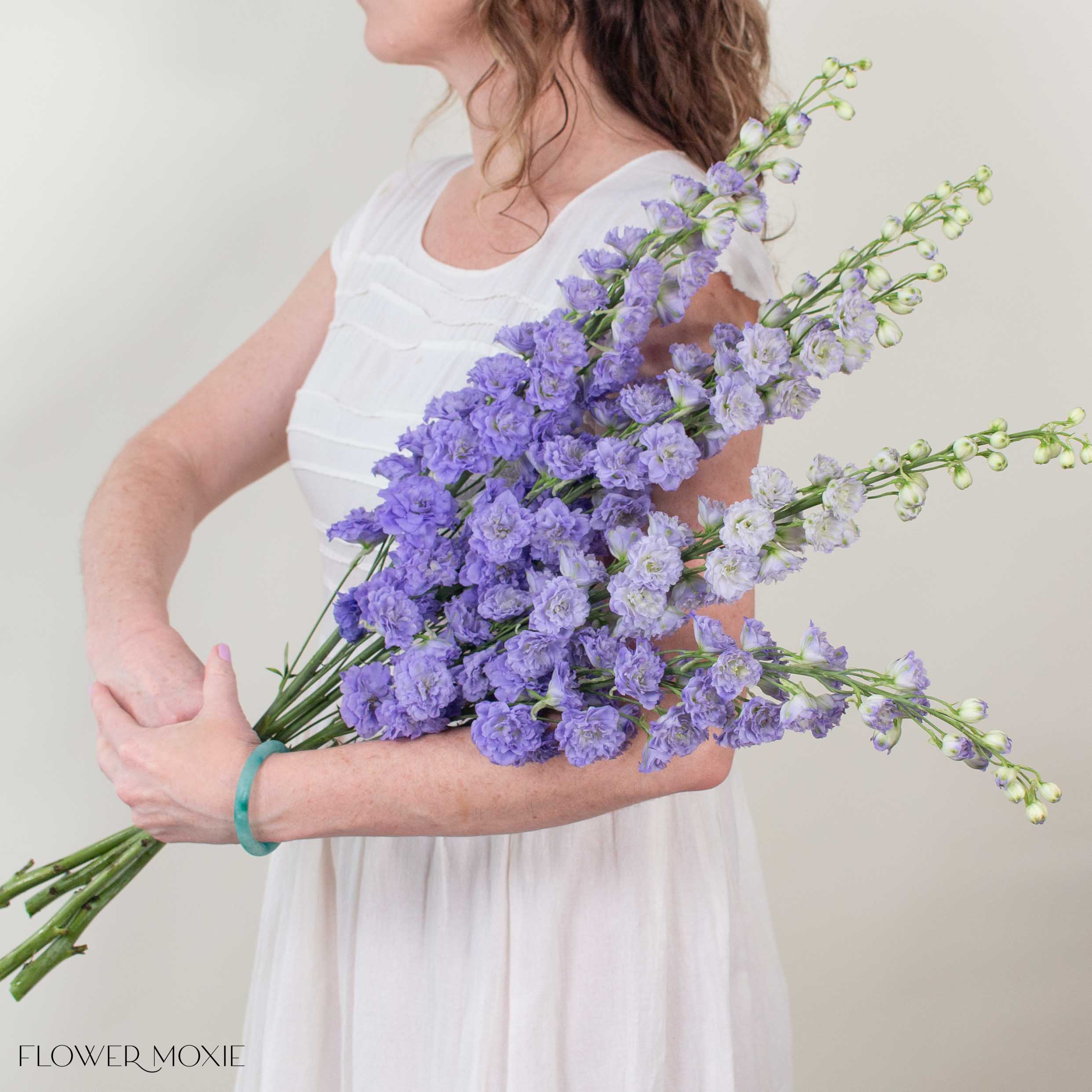 Giant Lavender Hybrid Delphinium - Image 2