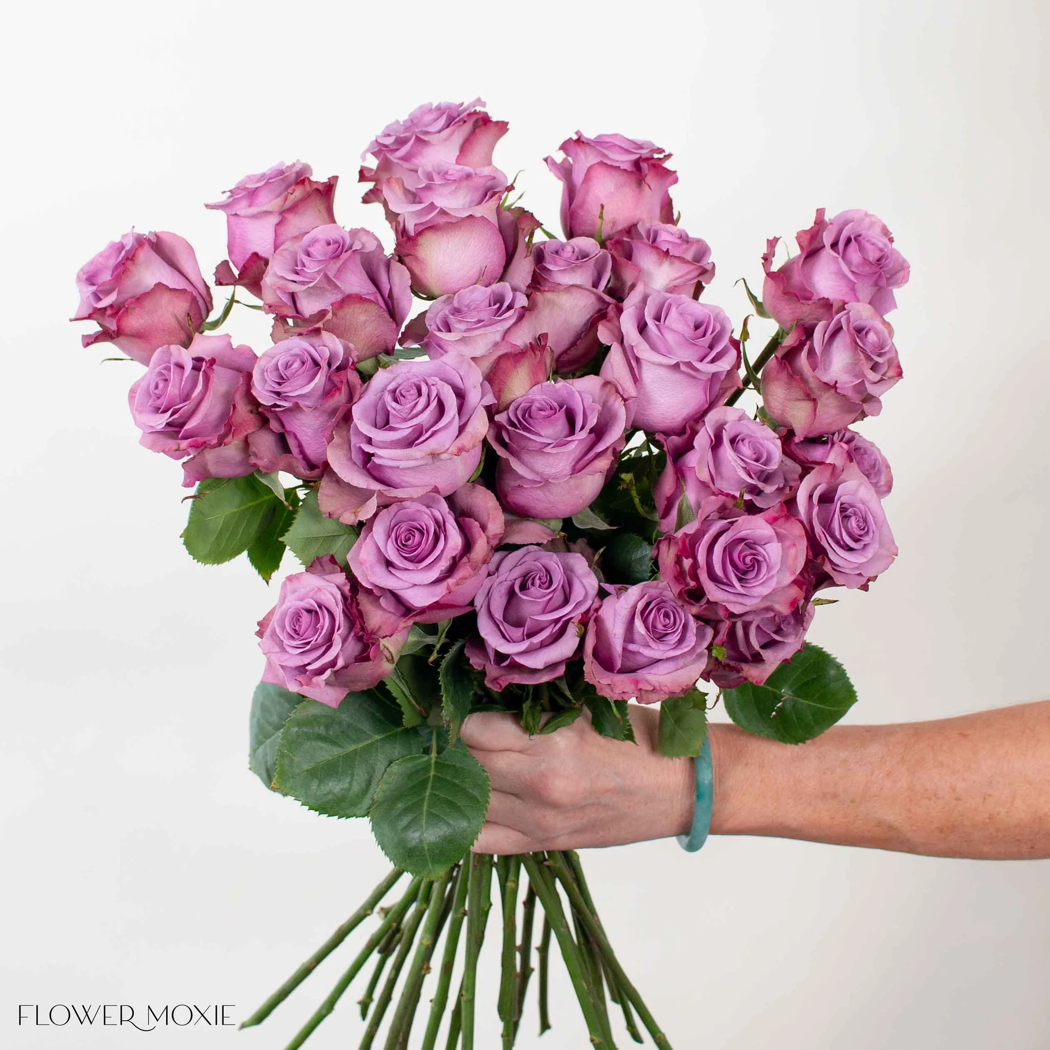 Lavender Govinda Rose - Image 3