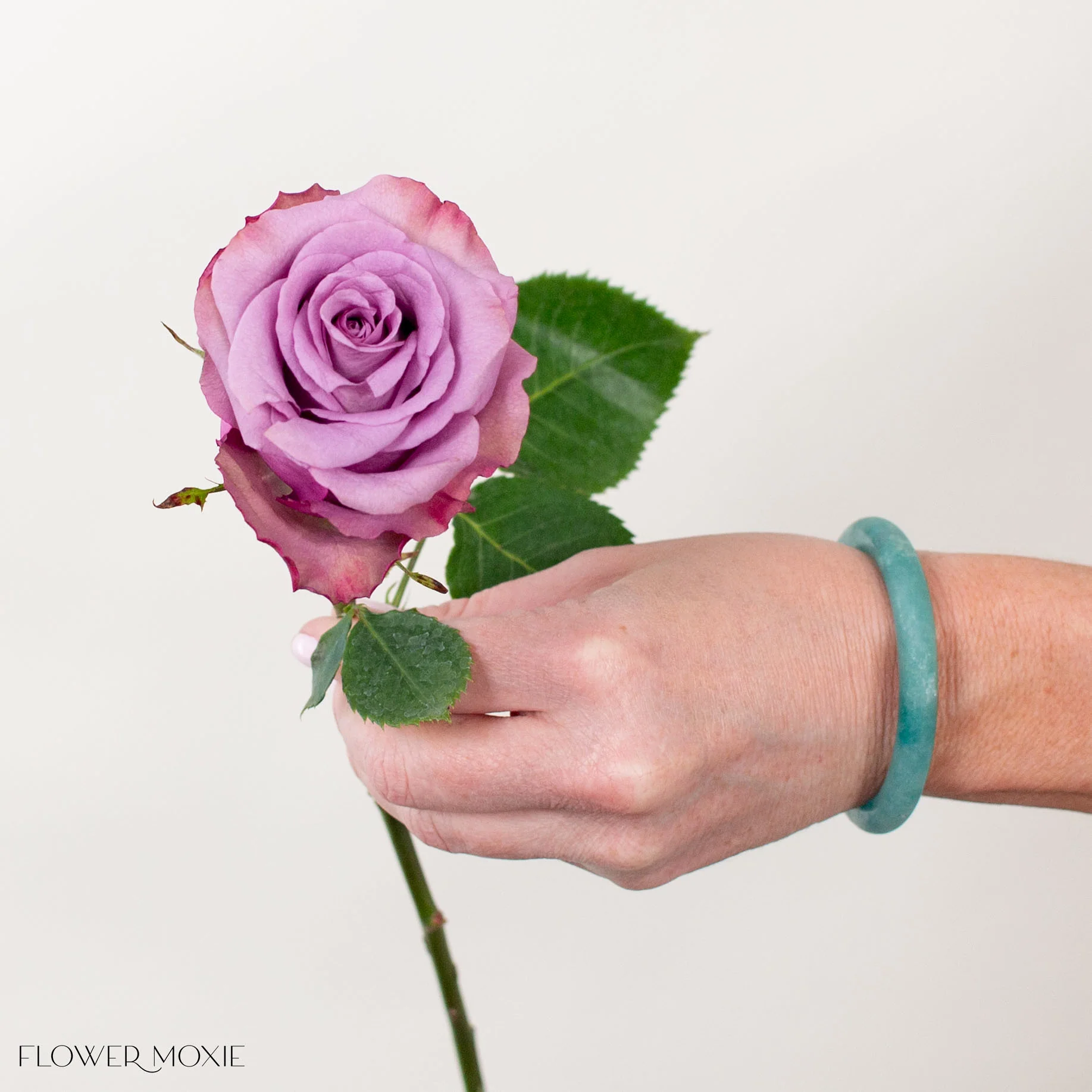 Lavender Govinda Rose - Image 4
