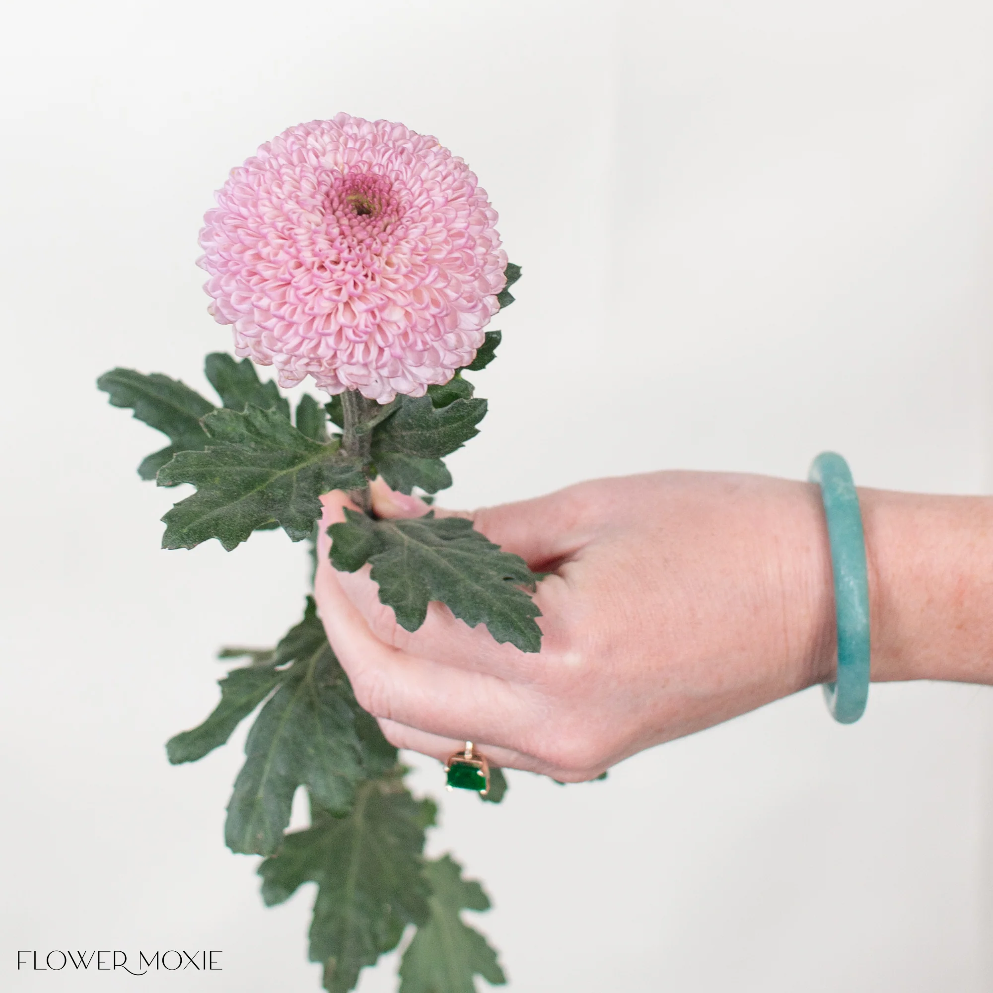 Light Pink Ball Cremone Flower - Image 4