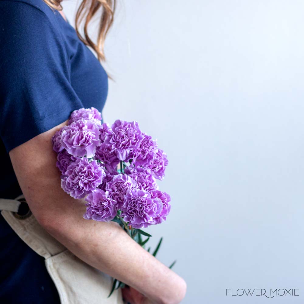 Lavender Moon Carnation Flower - Image 5