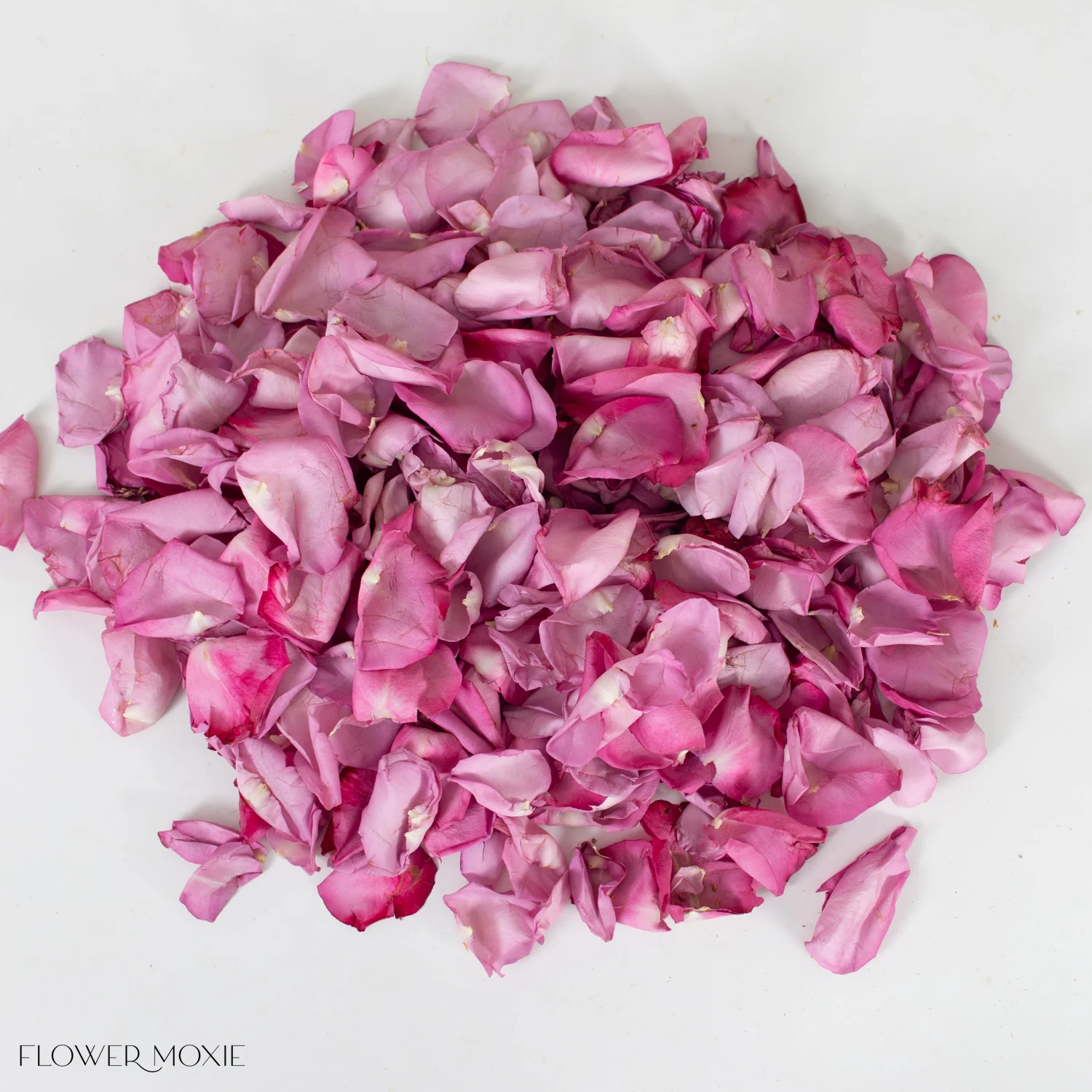 Lavender Rose Petals - Image 3