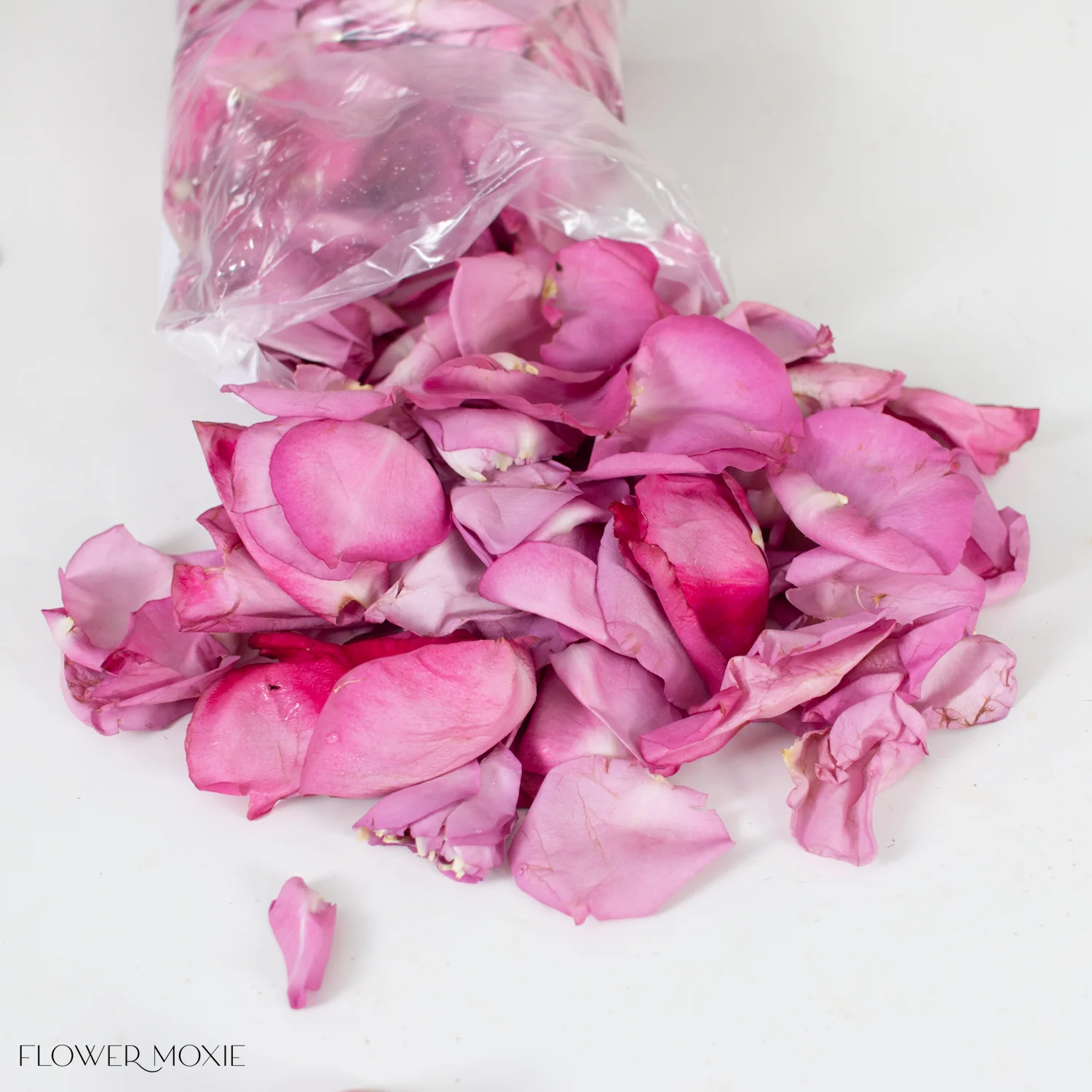 Lavender Rose Petals - Image 4