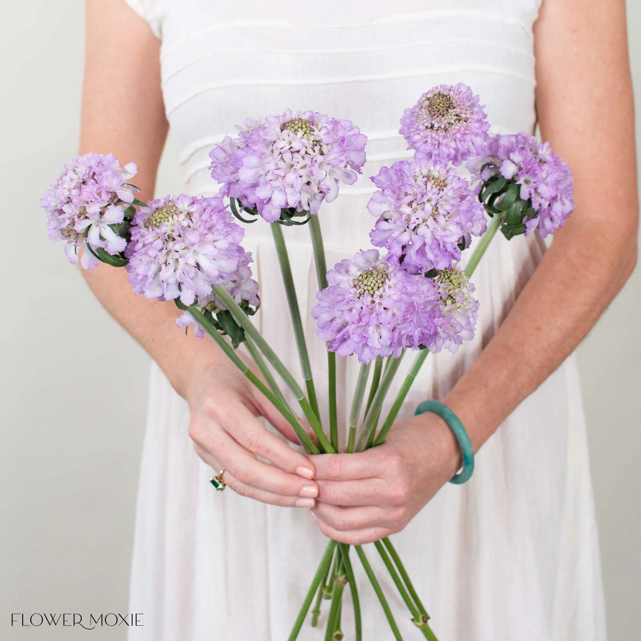 Lavender Scabiosa Flower - Image 3