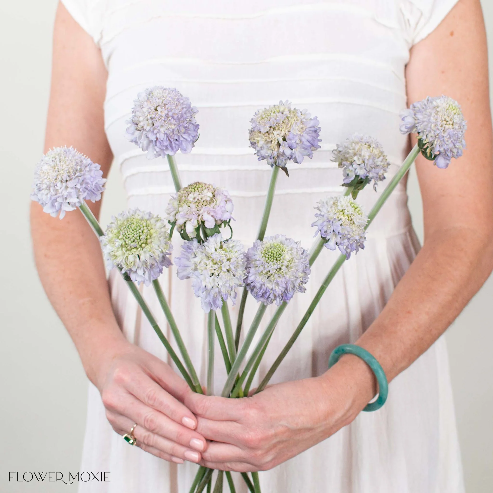 Lavender Scabiosa Flower - Image 4