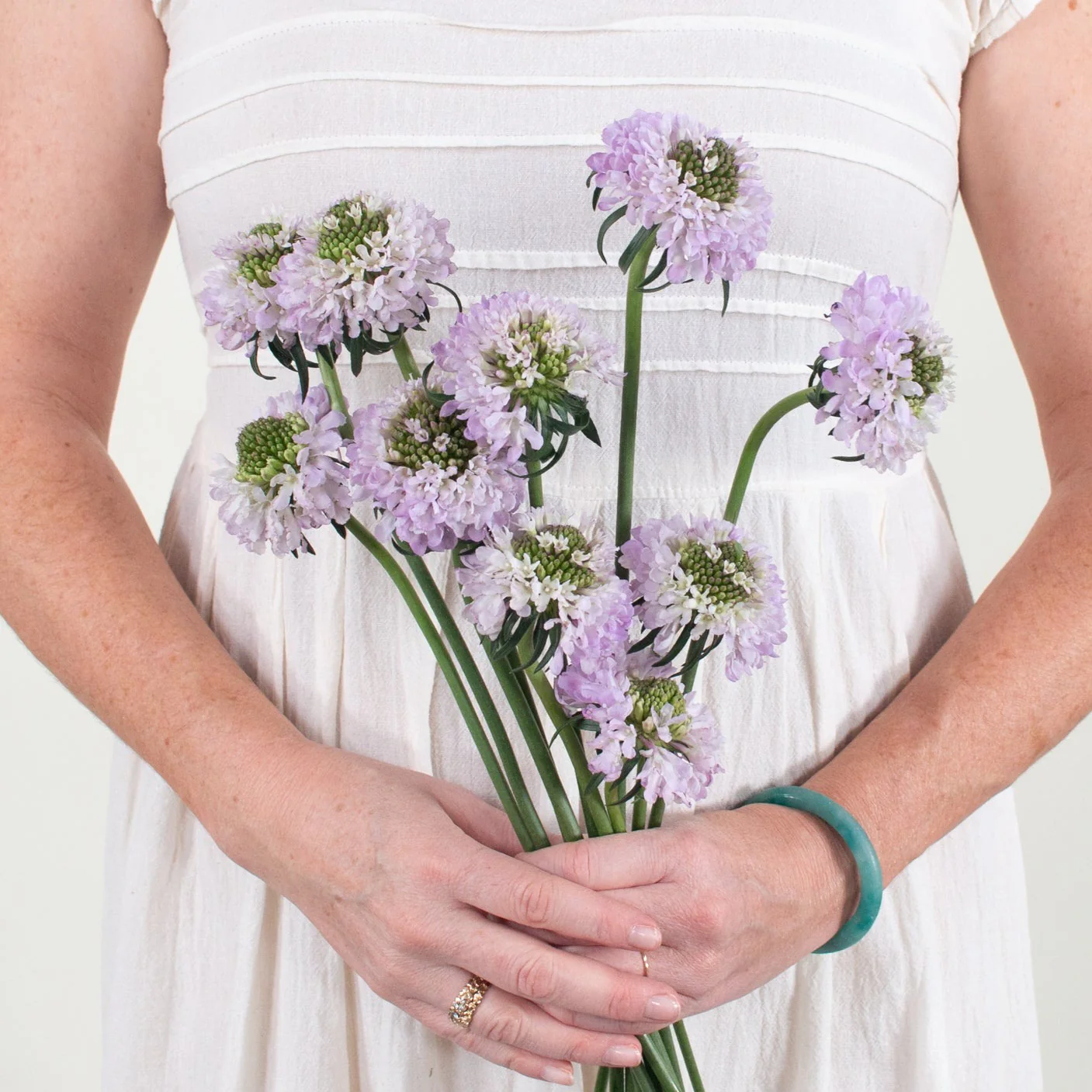 Lavender Scabiosa Flower - Image 9