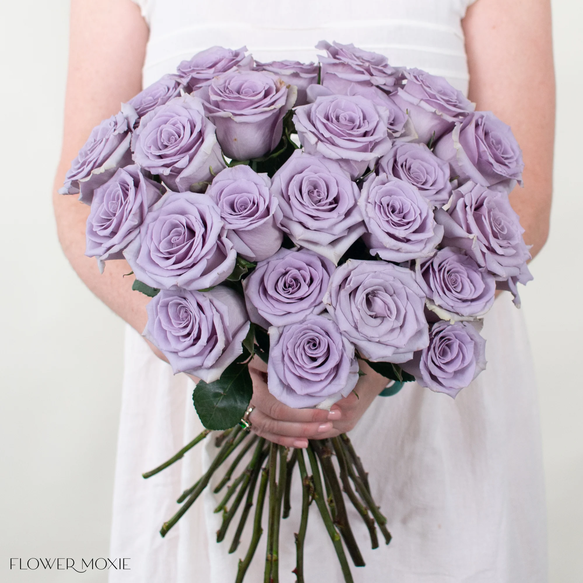 Lavender Shocking Blue Rose - Image 2