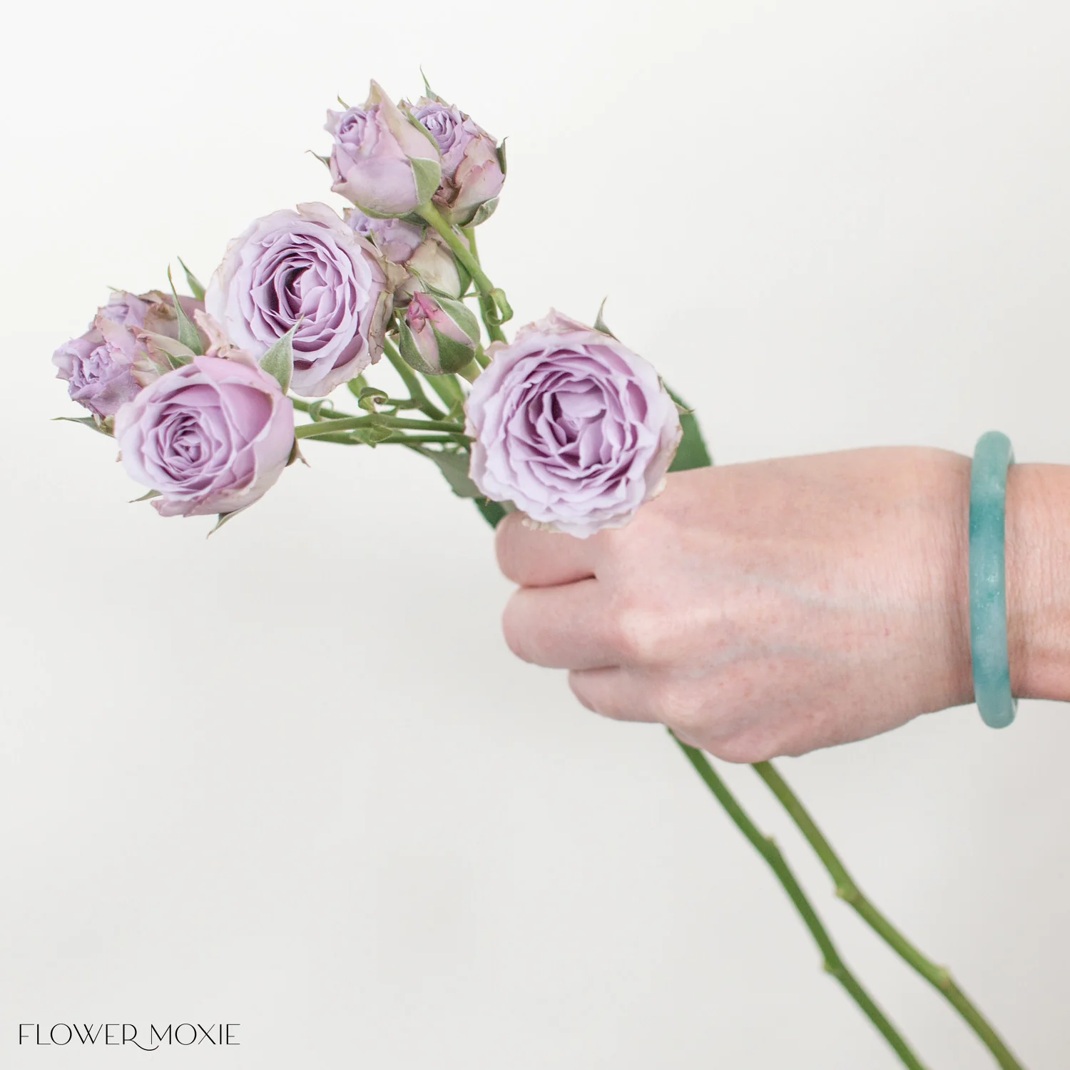 Lavender Spray Roses - Image 11