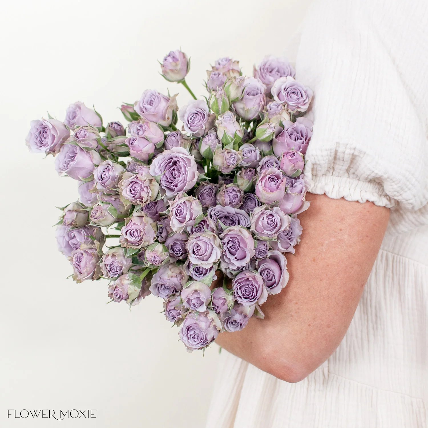 Lavender Spray Roses - Image 12