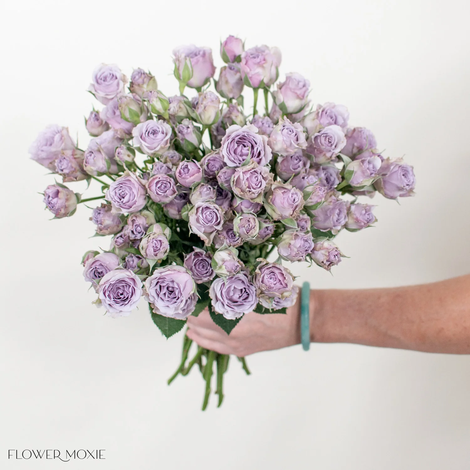 Lavender Spray Roses - Image 13