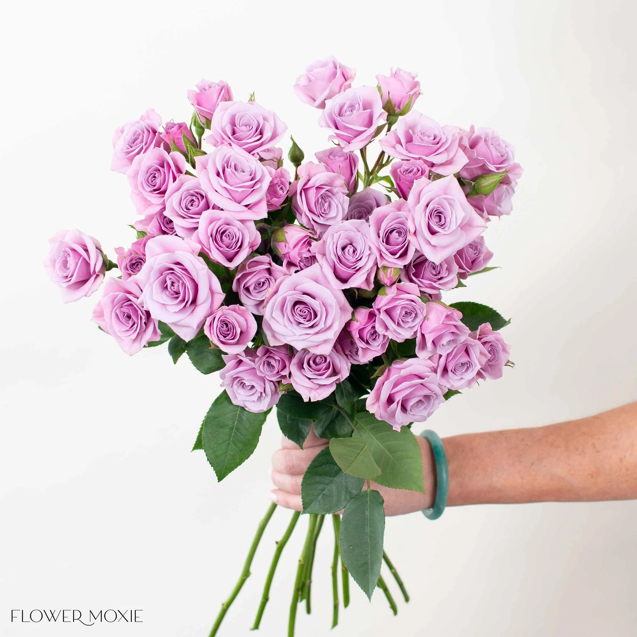 Lavender Spray Roses - Image 3