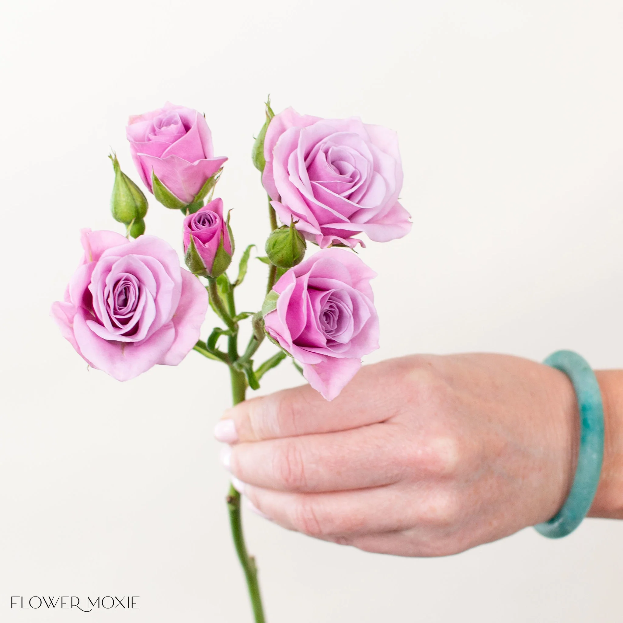 Lavender Spray Roses - Image 5