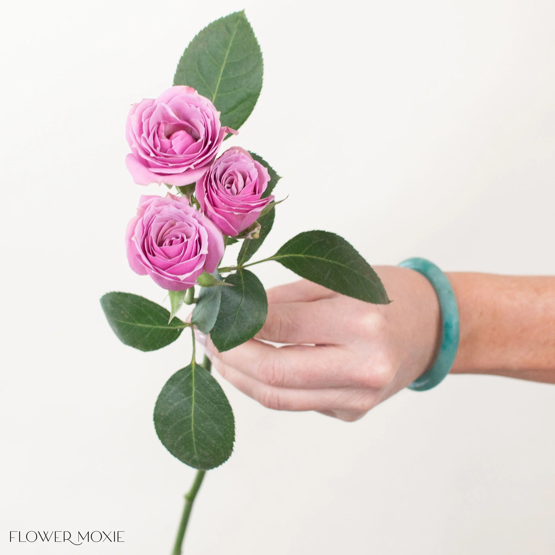 Lavender Spray Roses - Image 8