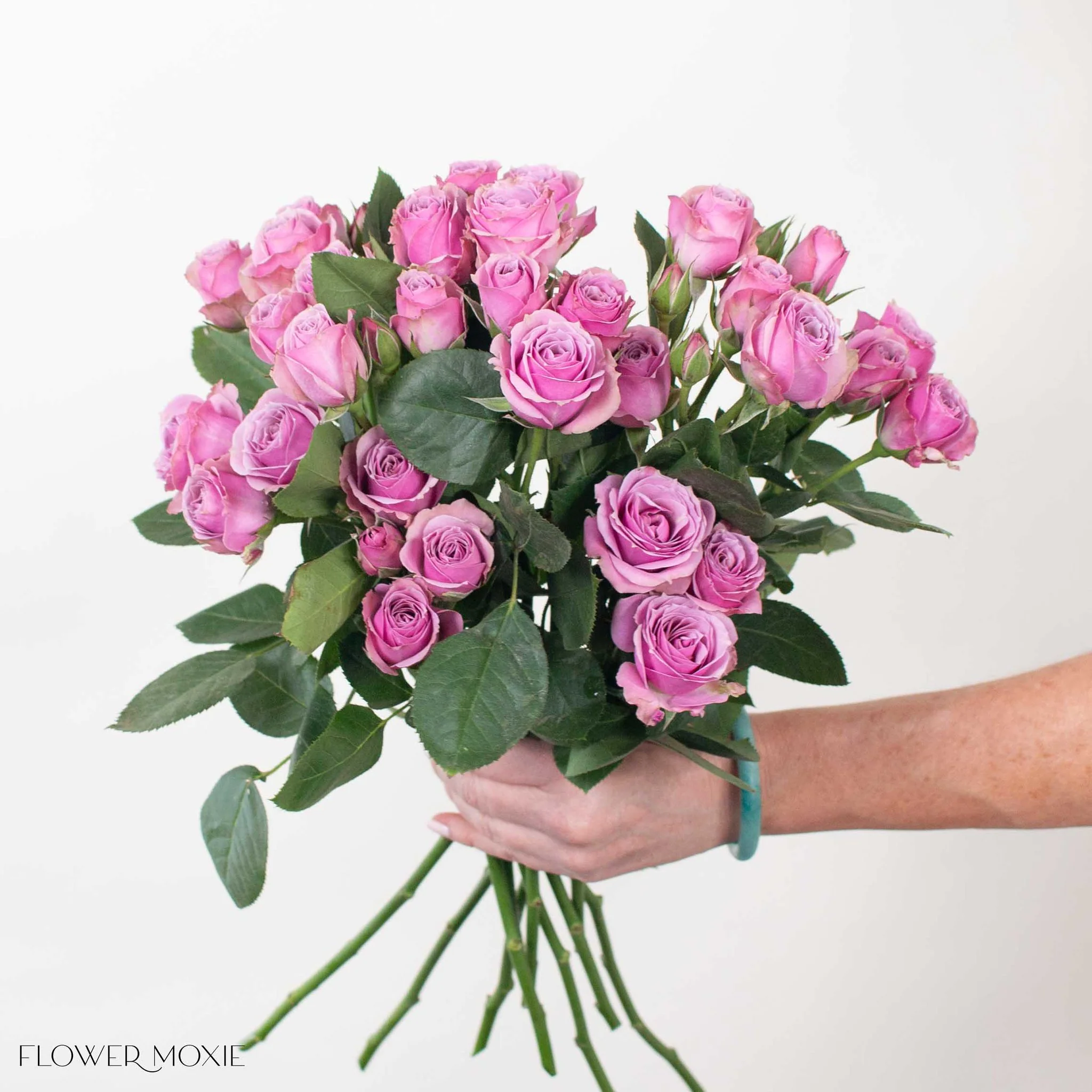 Lavender Spray Roses - Image 9
