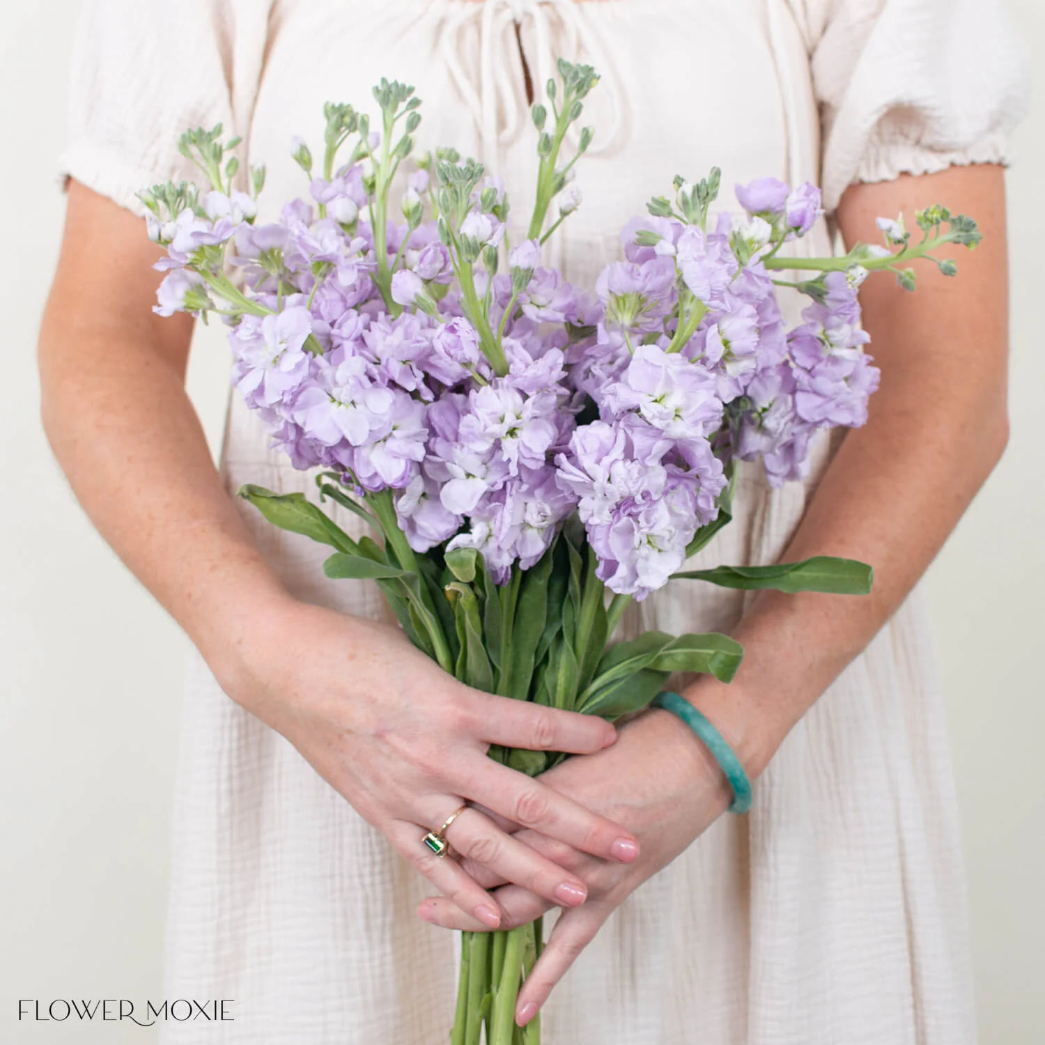Lavender Stock Flower