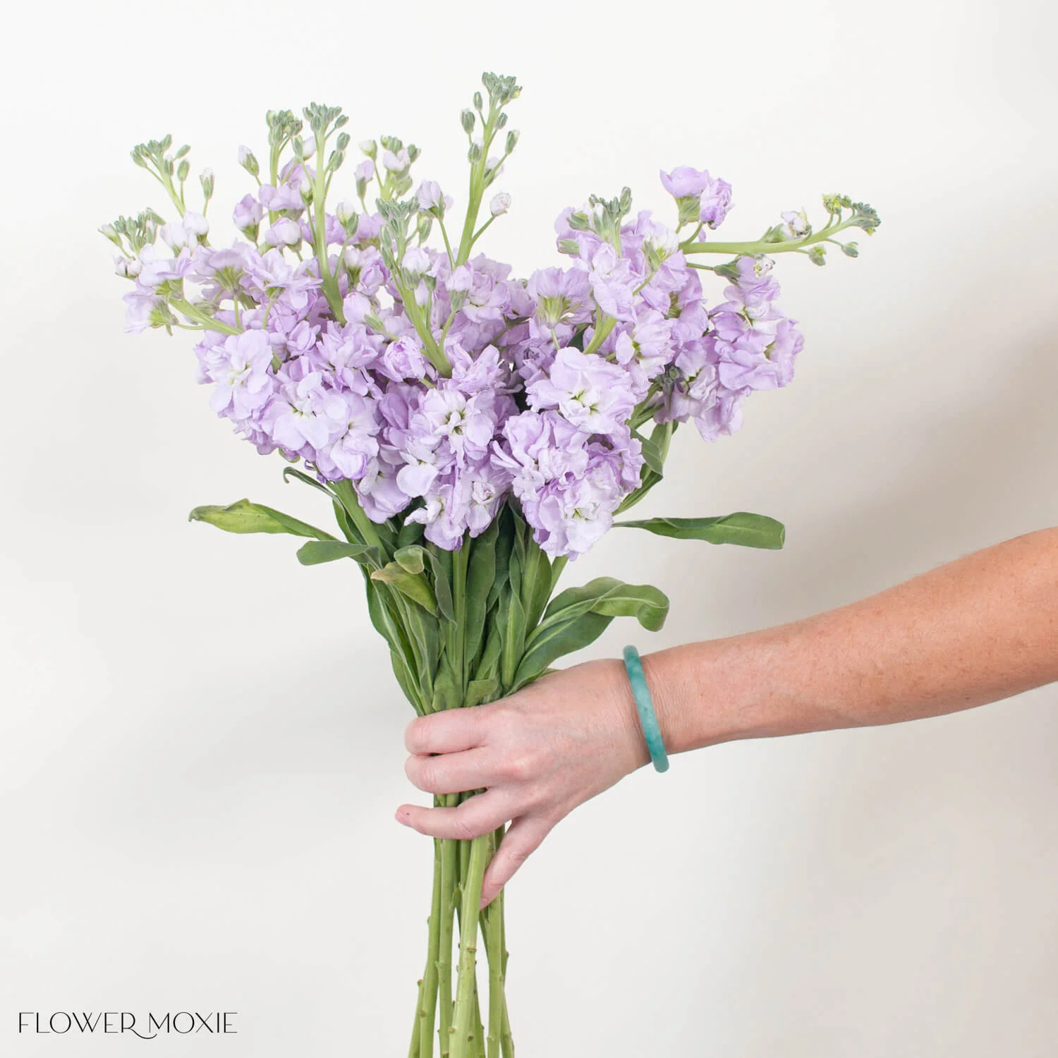 Lavender Stock Flower - Image 4