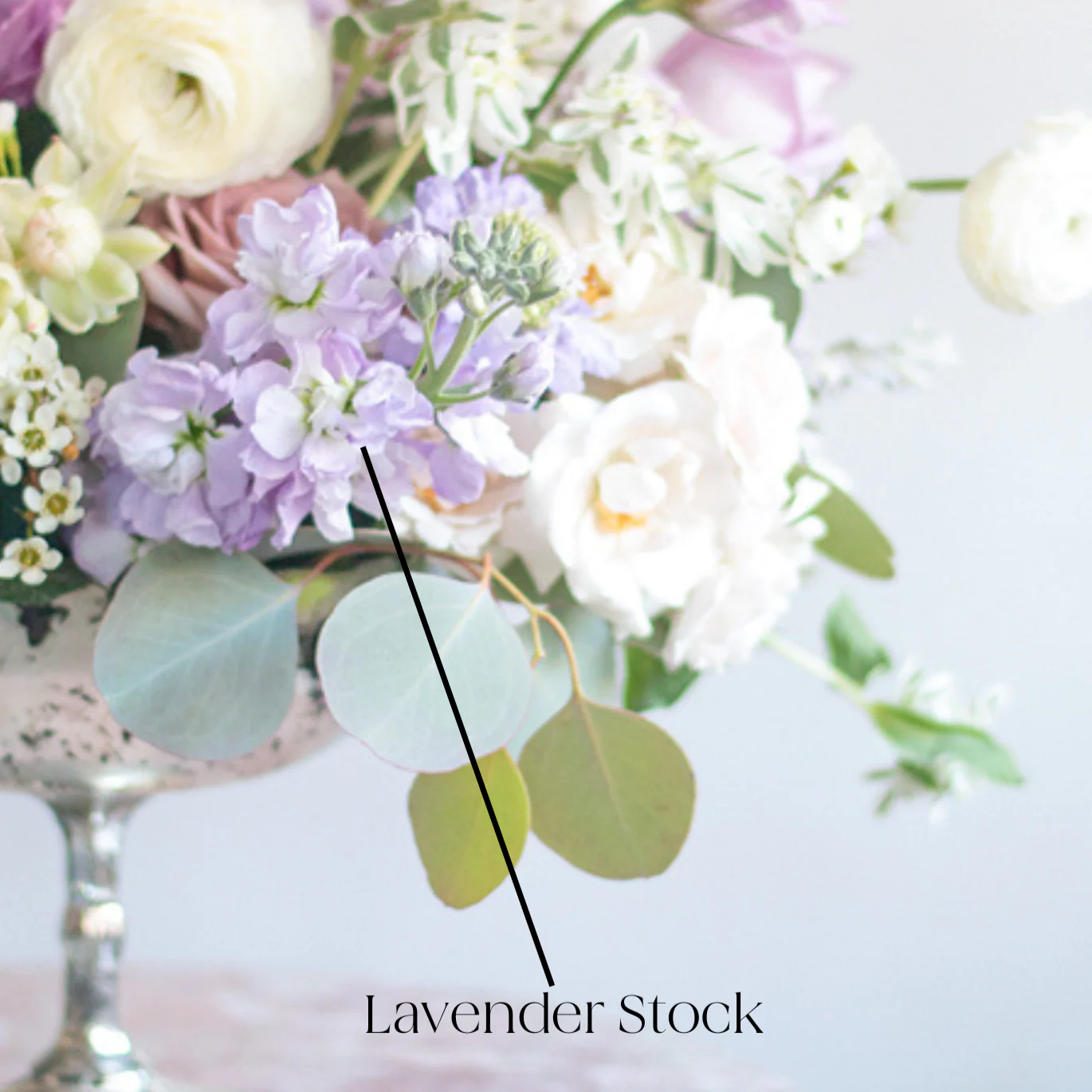 Lavender Stock Flower - Image 5