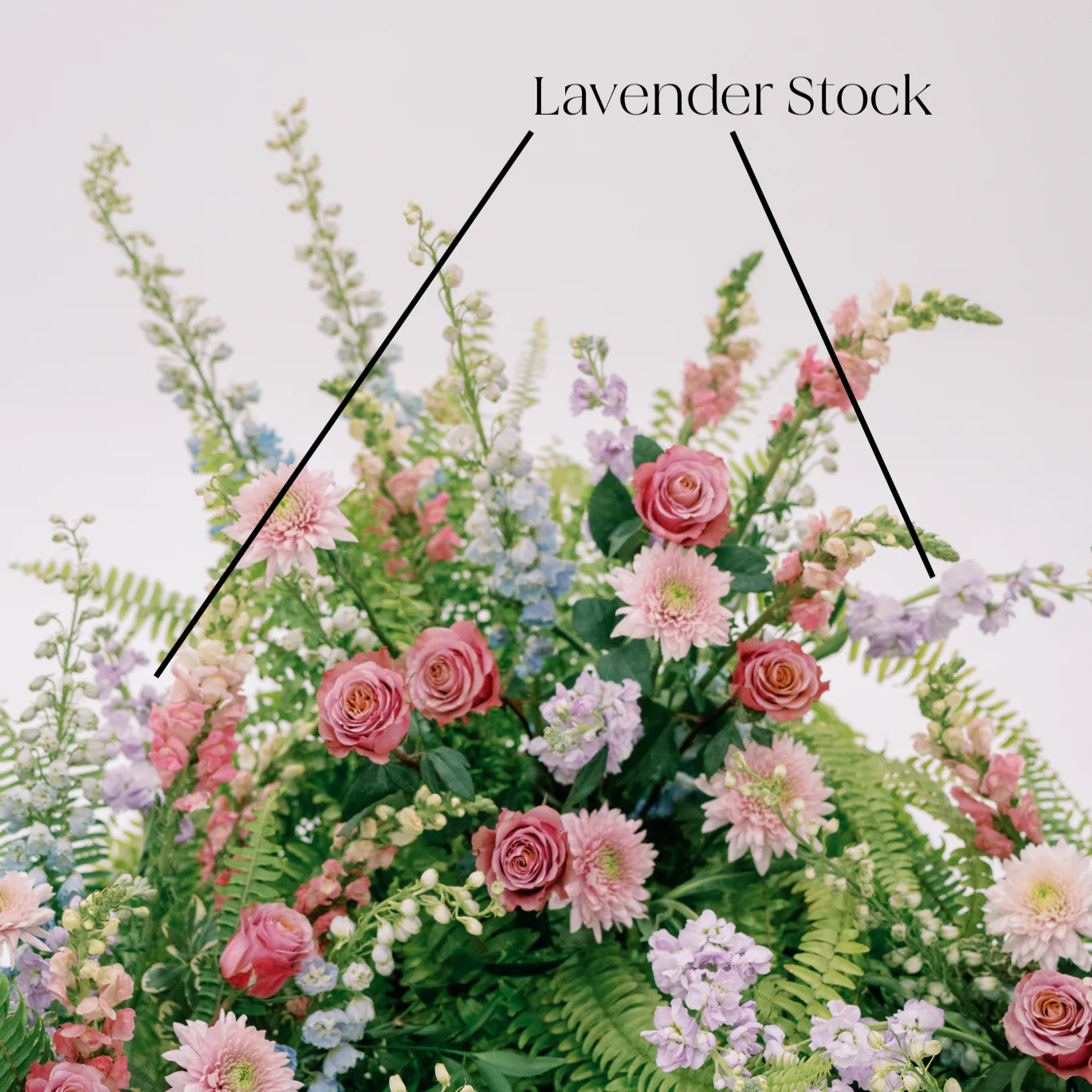 Lavender Stock Flower - Image 6