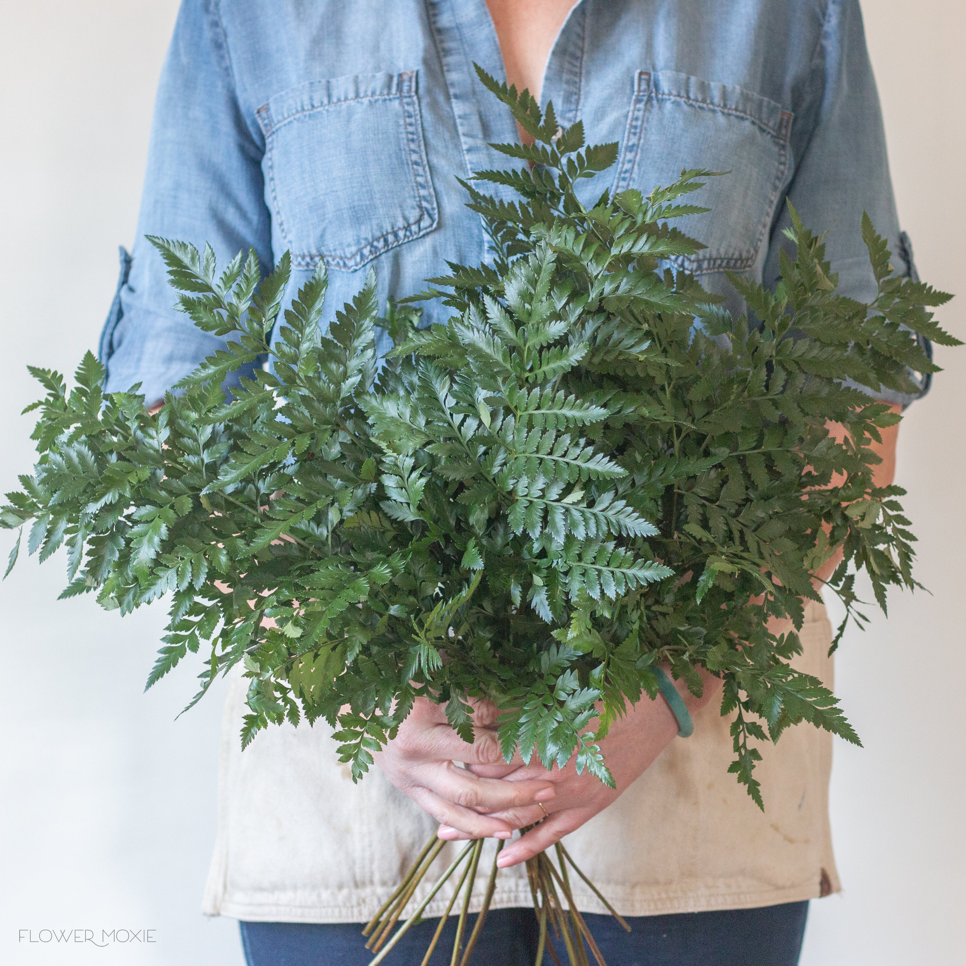 Leatherleaf Fern Greenery - Image 4