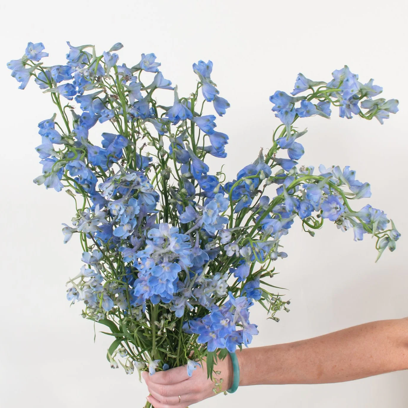 Light Blue Delphinium Flower - Image 3