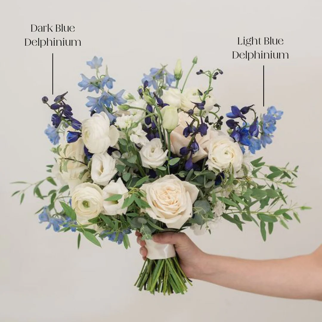 Light Blue Delphinium Flower - Image 7