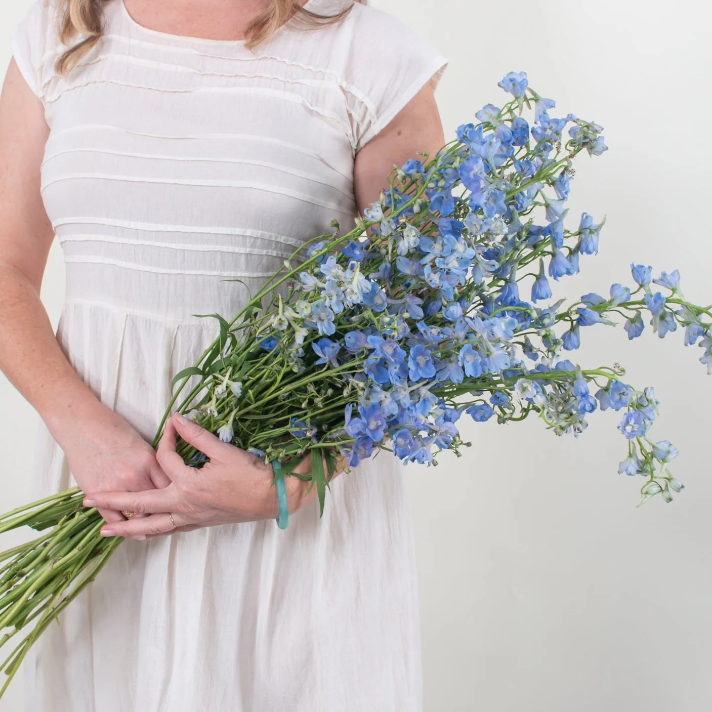 Light Blue Delphinium Flower - Image 8