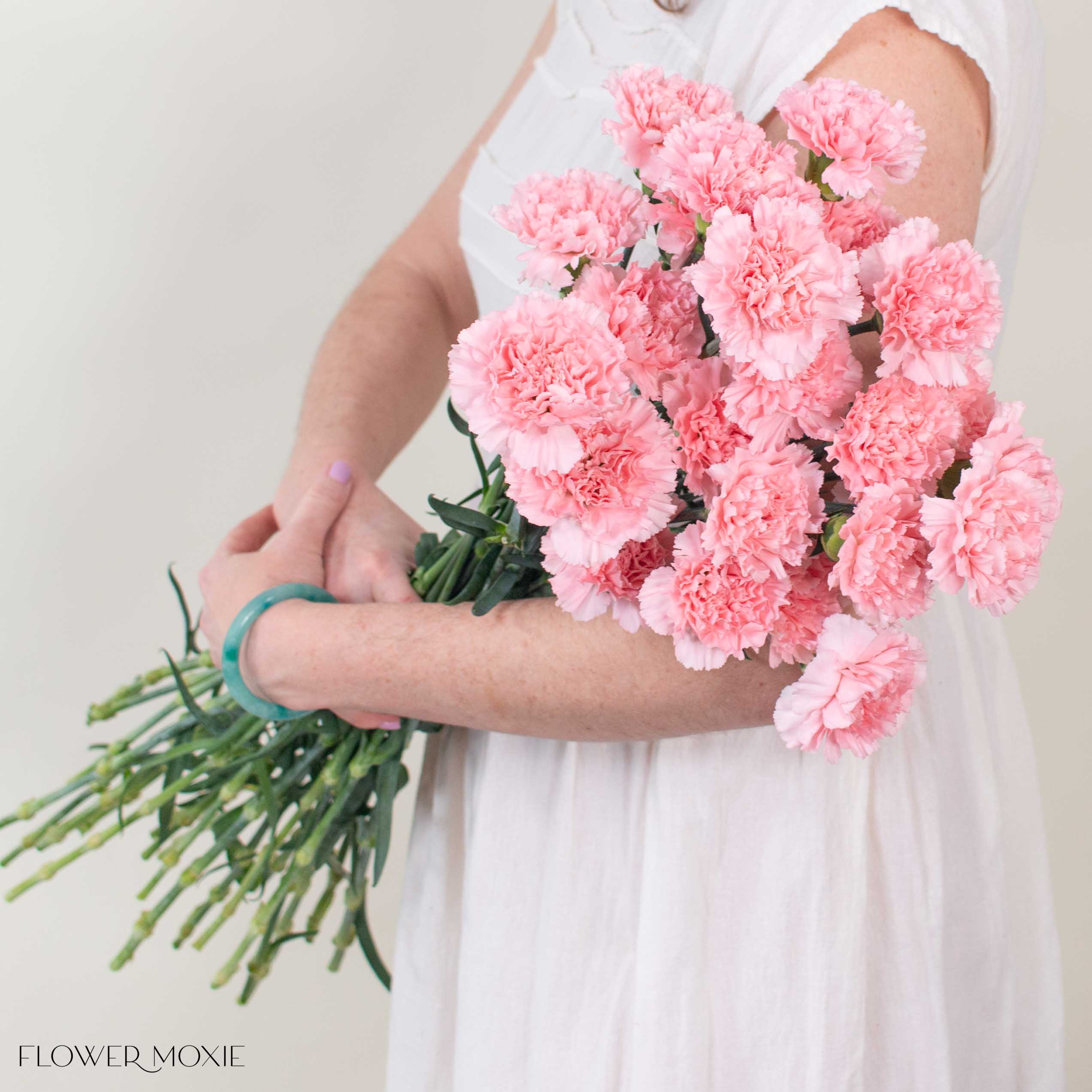 Light Pink Carnation Flower - Image 3
