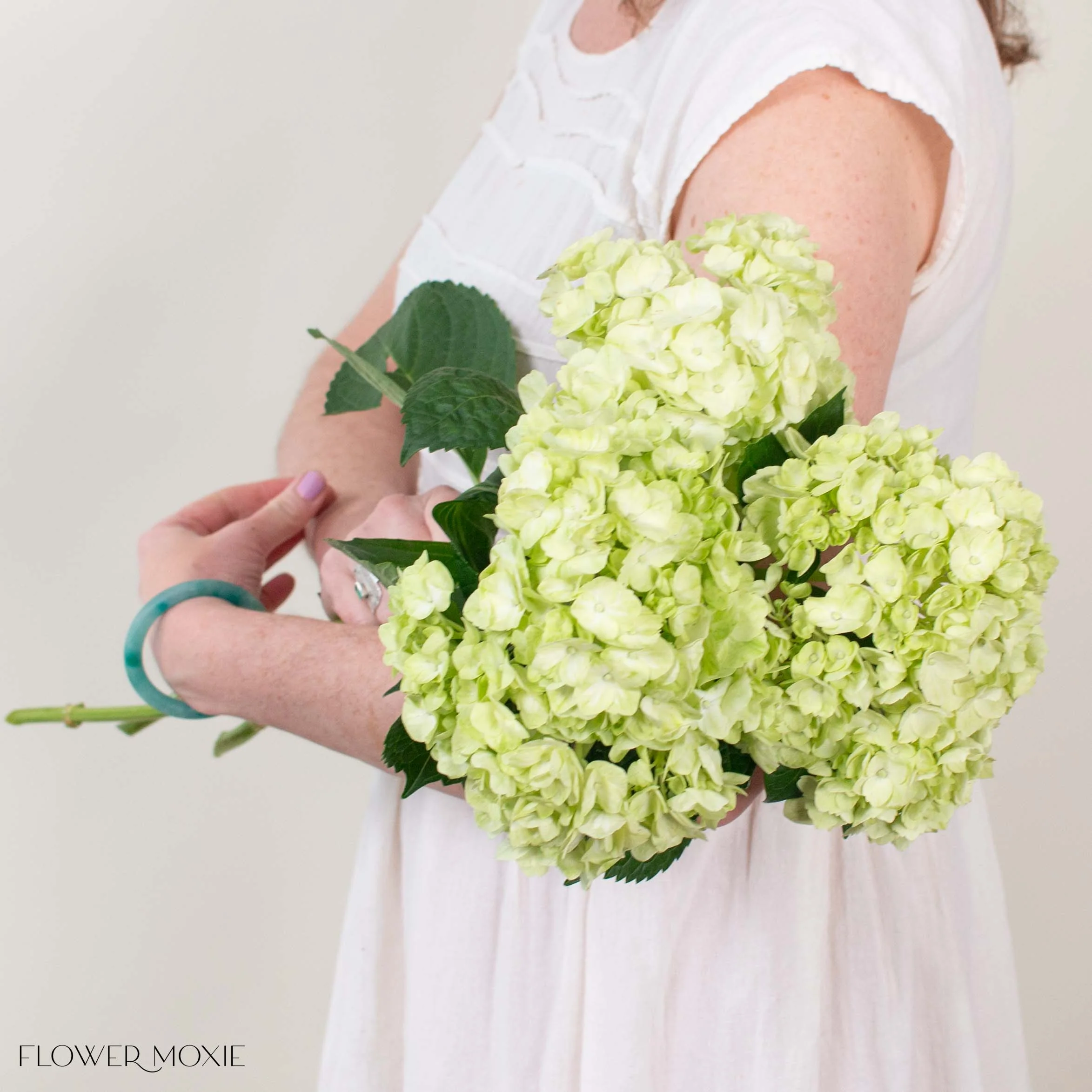 Lime Green Hydrangea Flower - Image 2