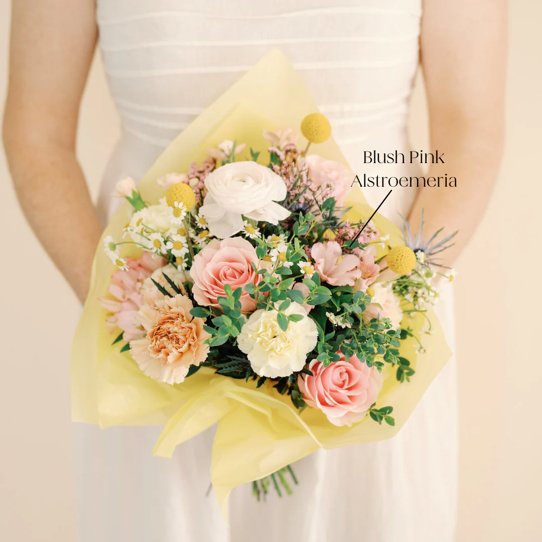 Light Pink Alstroemeria Flower - Image 3