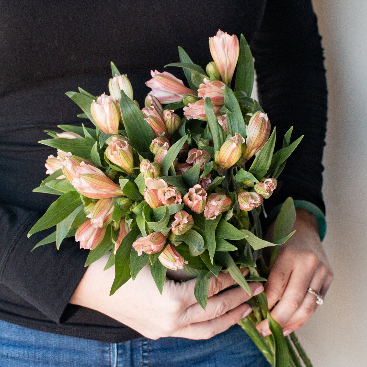 Light Pink Alstroemeria Flower - Image 4