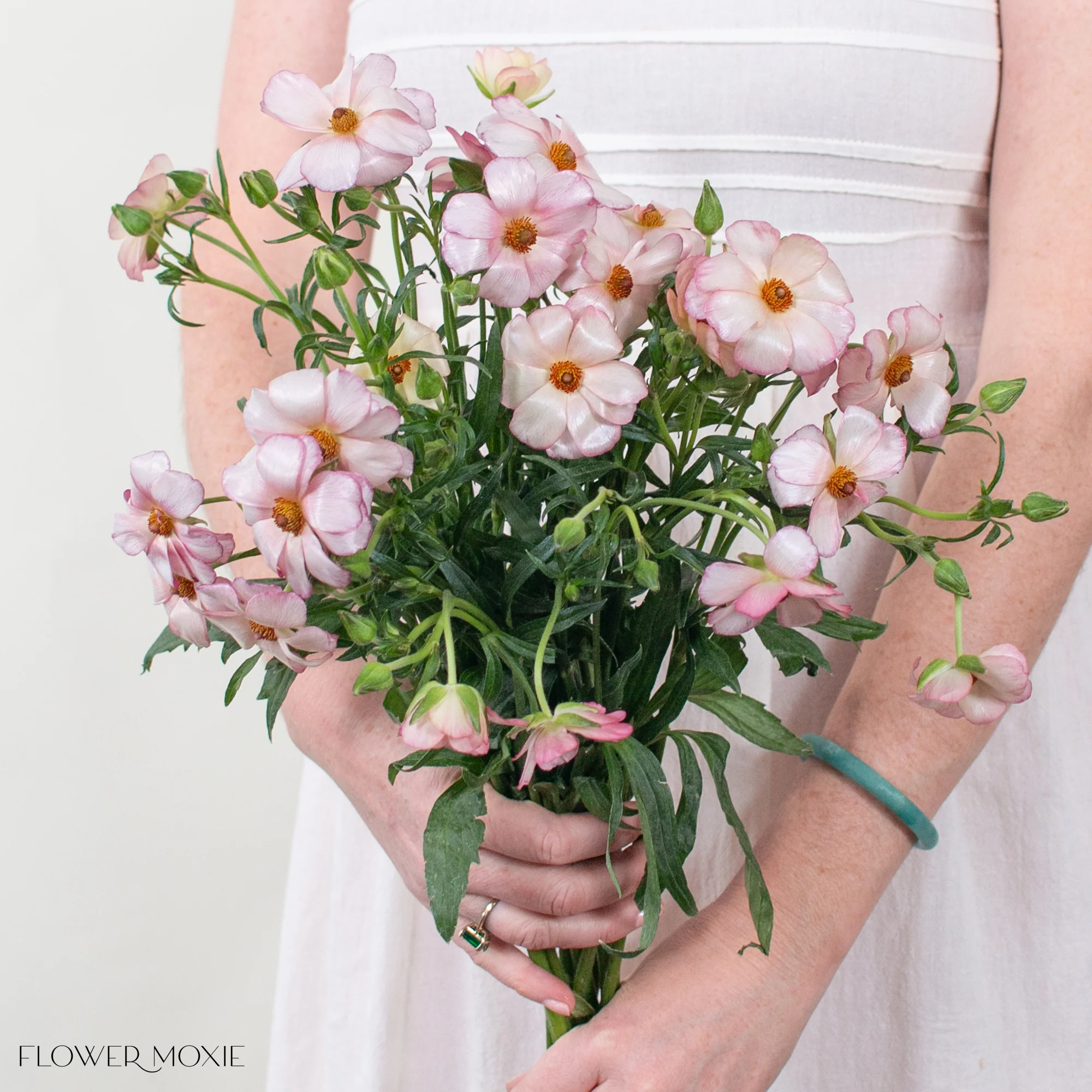 Light Pink Butterfly Ranunculus - Image 4