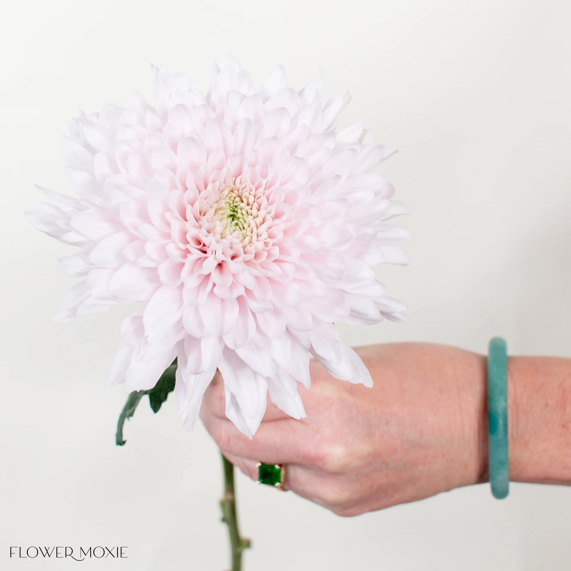 Soft Pink Cremone Flower - Image 3