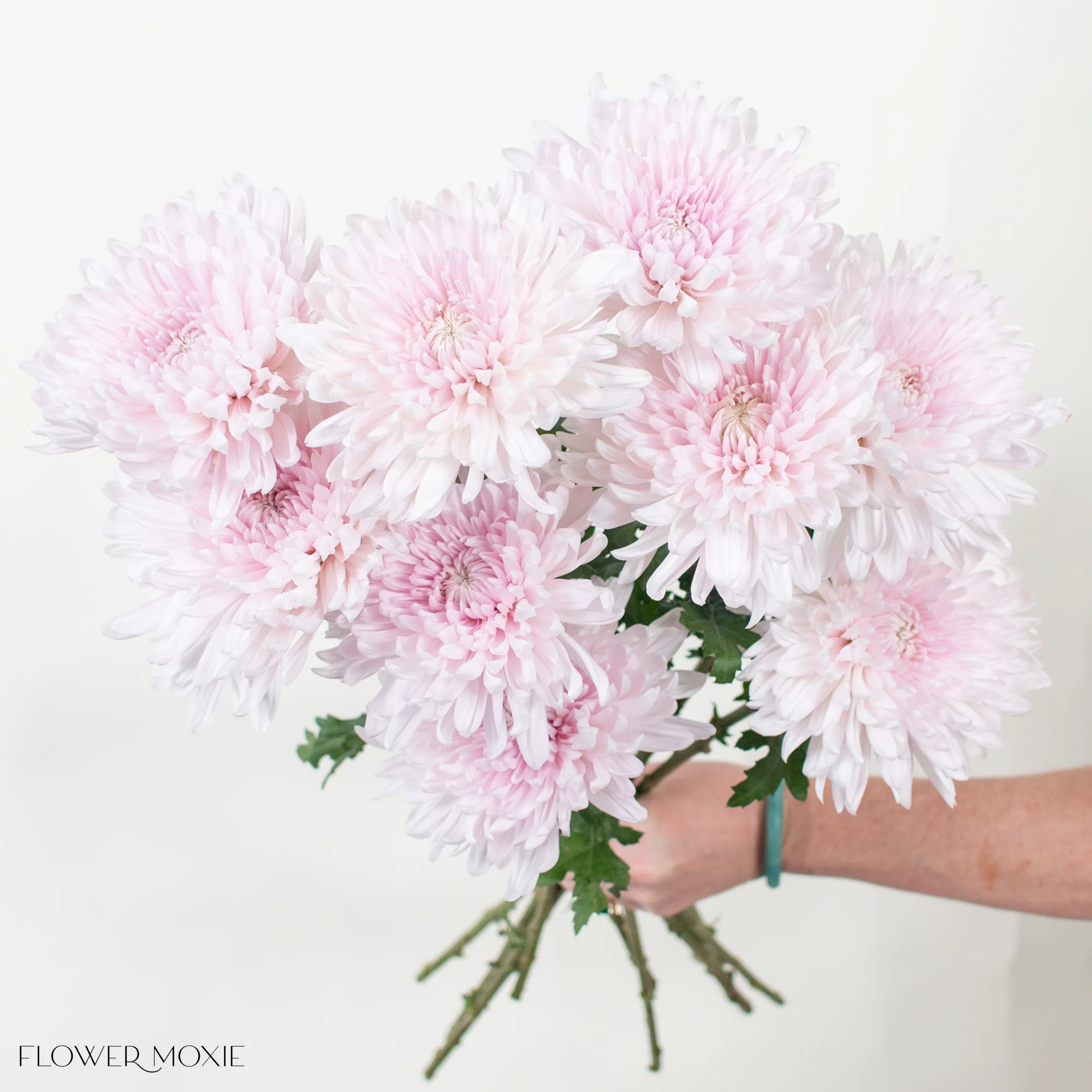 Soft Pink Cremone Flower - Image 4