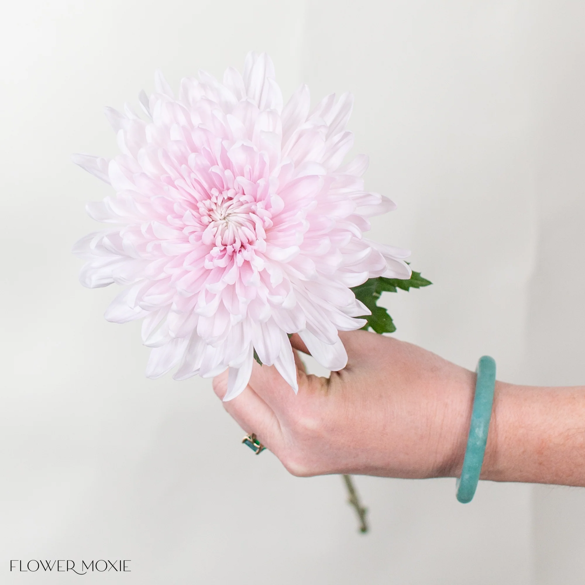 Soft Pink Cremone Flower - Image 7