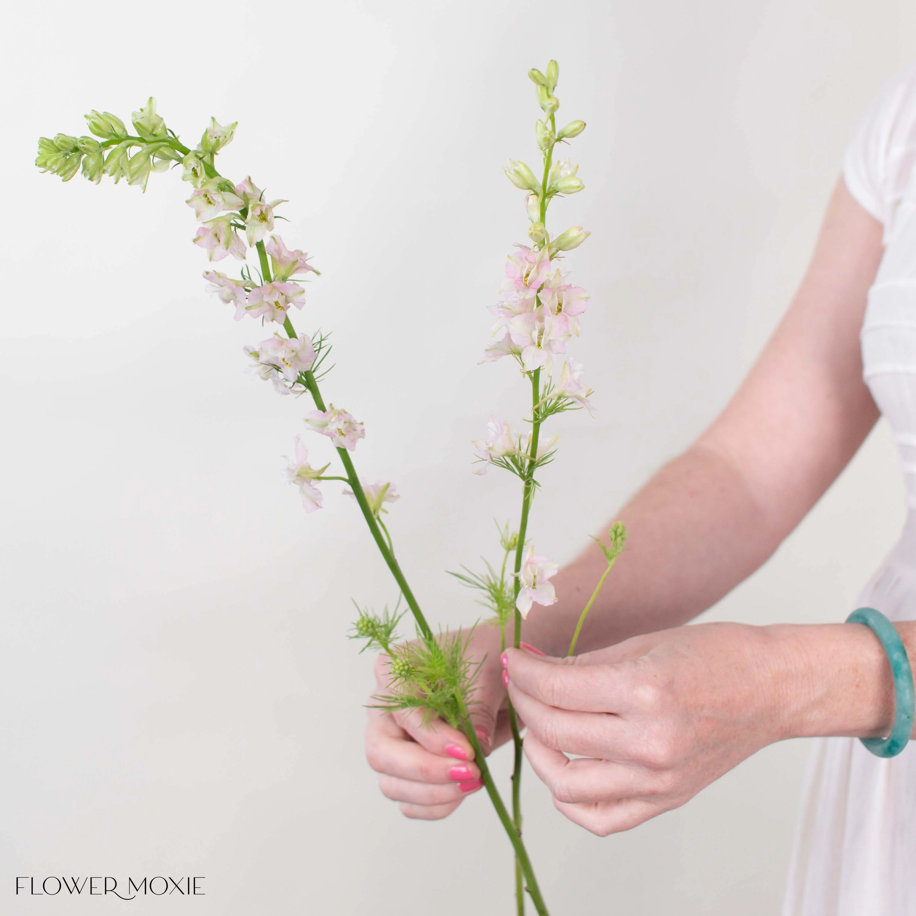 Light Pink Larkspur Flower - Image 2
