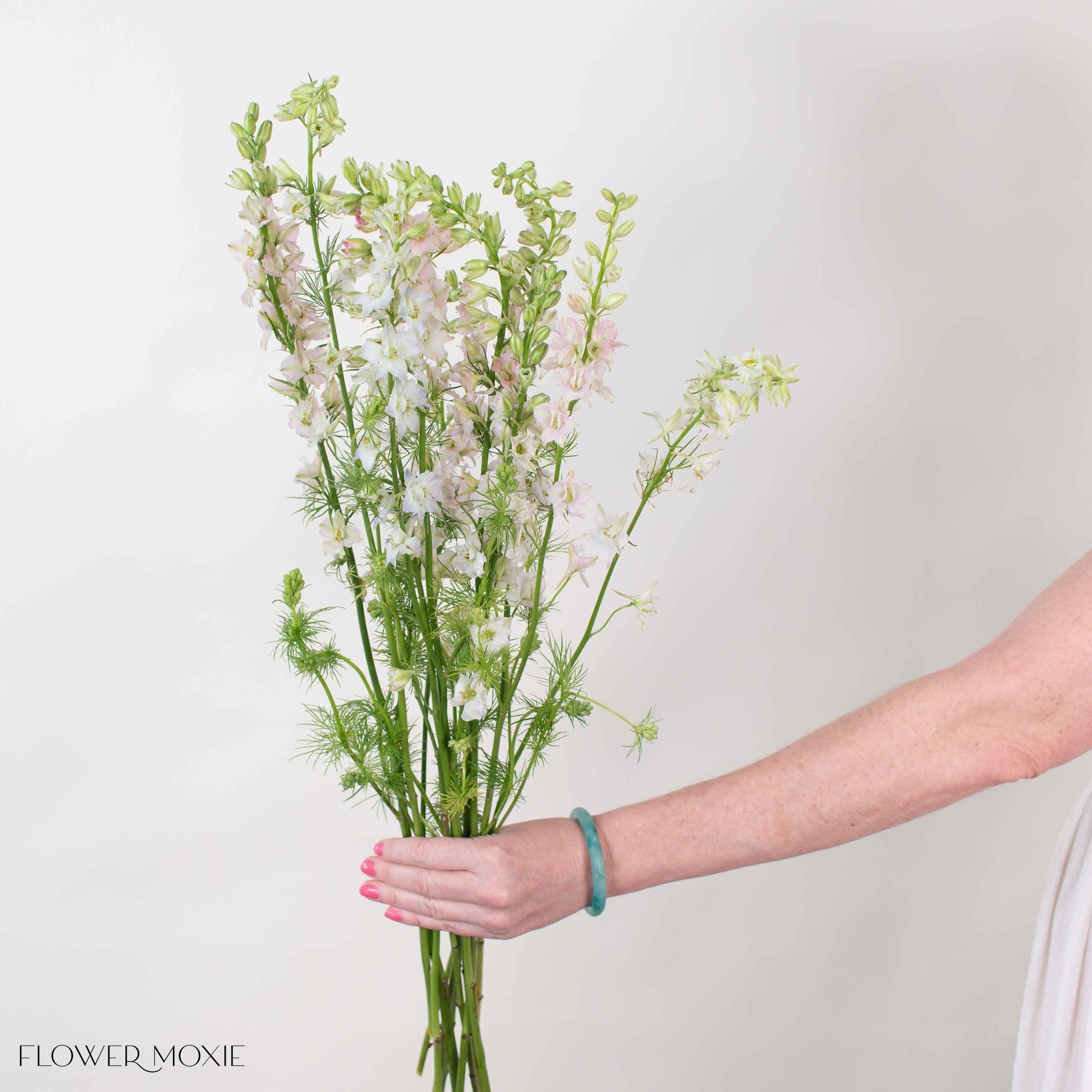 Light Pink Larkspur Flower - Image 4